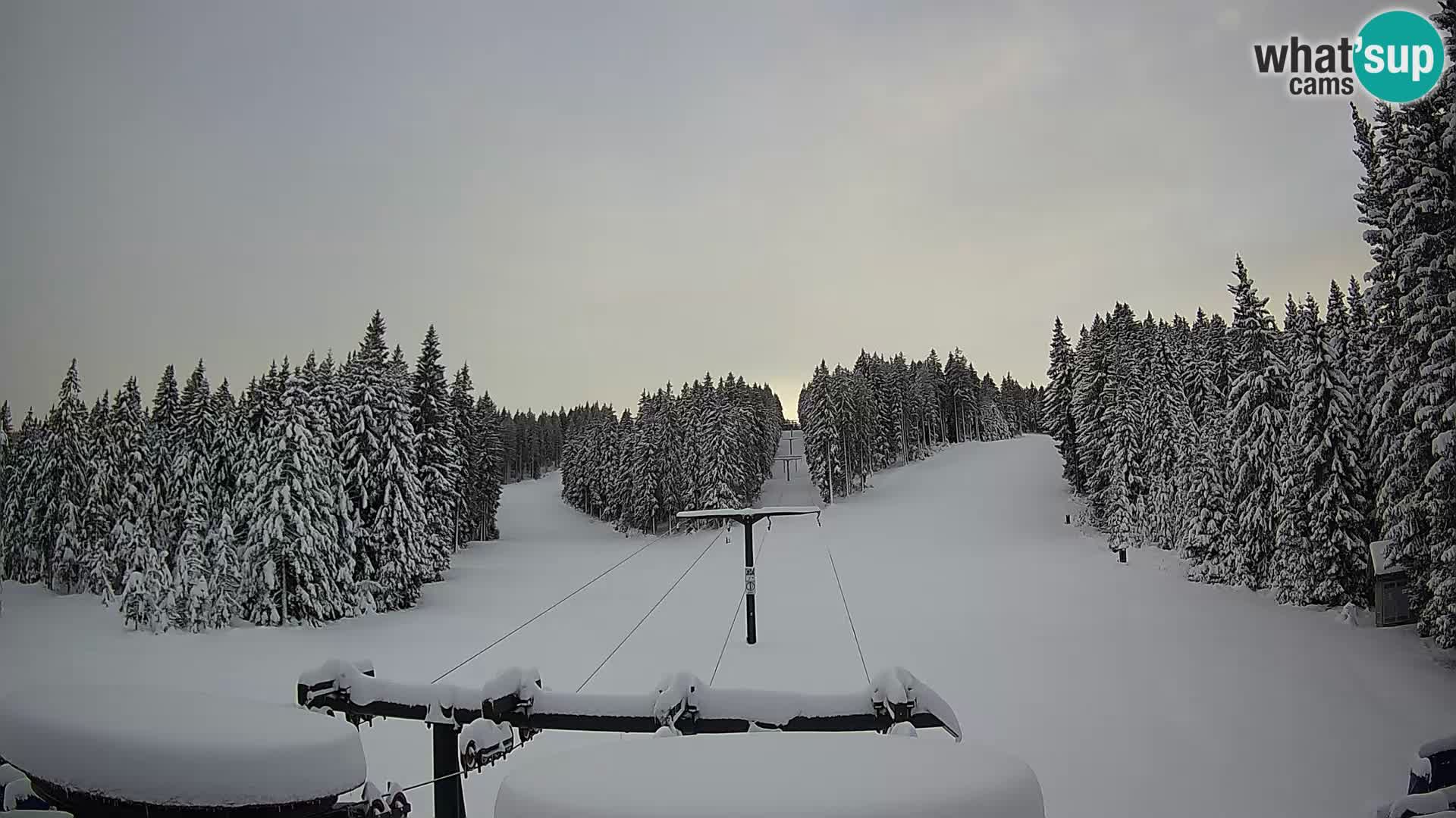 Comprensorio sciistico Rogla Webcam live Ostruščica piste 1 e 2