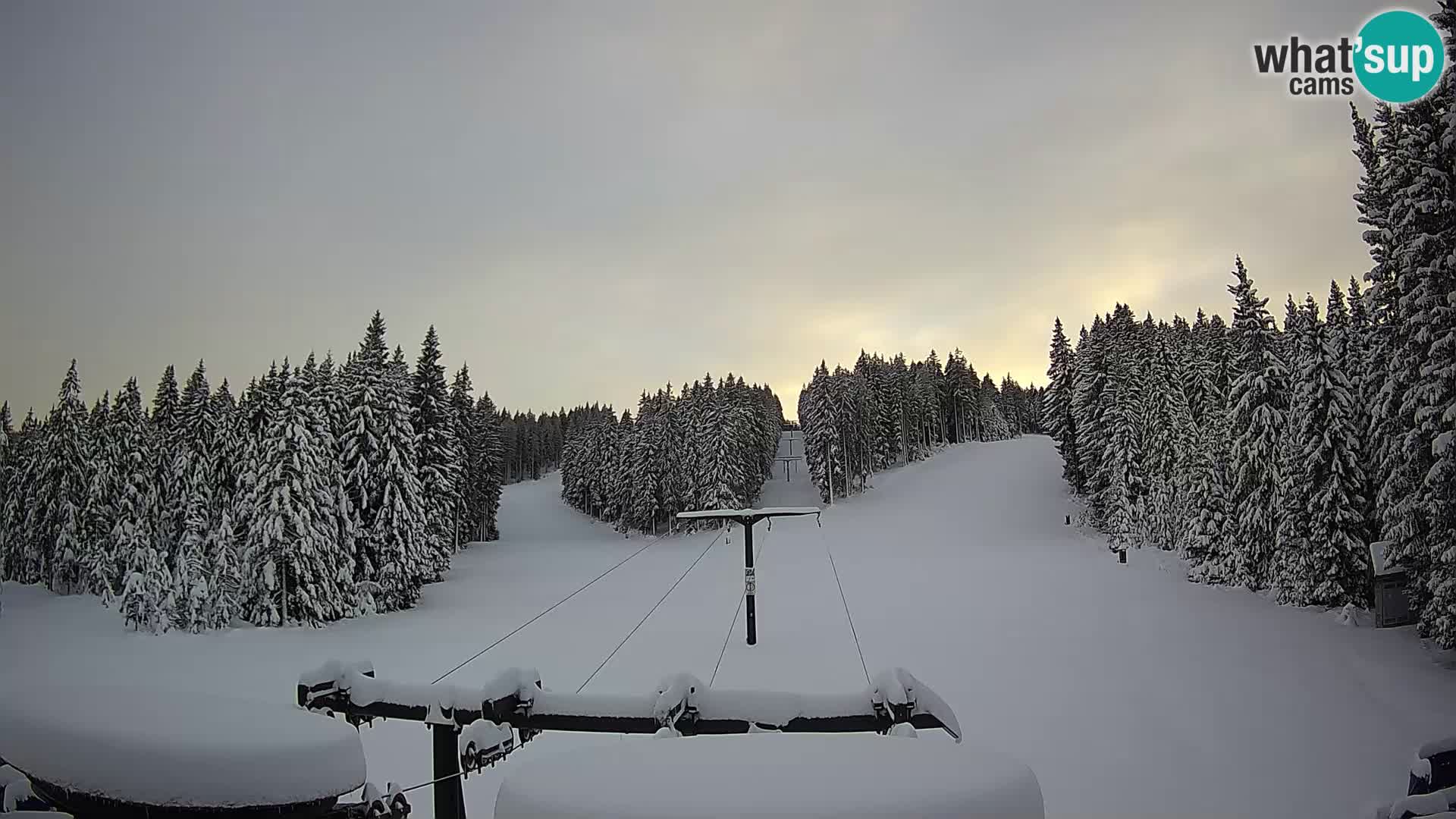 Estación de esquí Rogla Webcam Ostruščica pistas 1 y 2