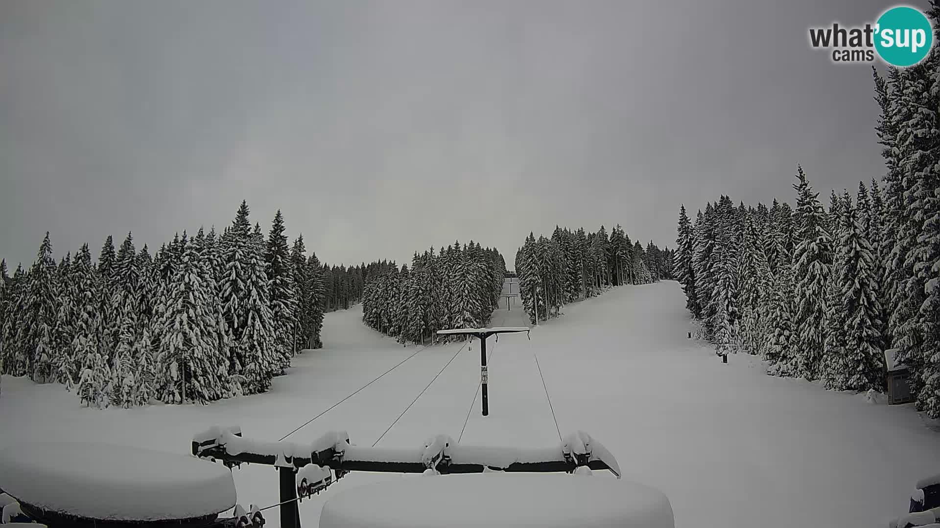 Estación de esquí Rogla Webcam Ostruščica pistas 1 y 2