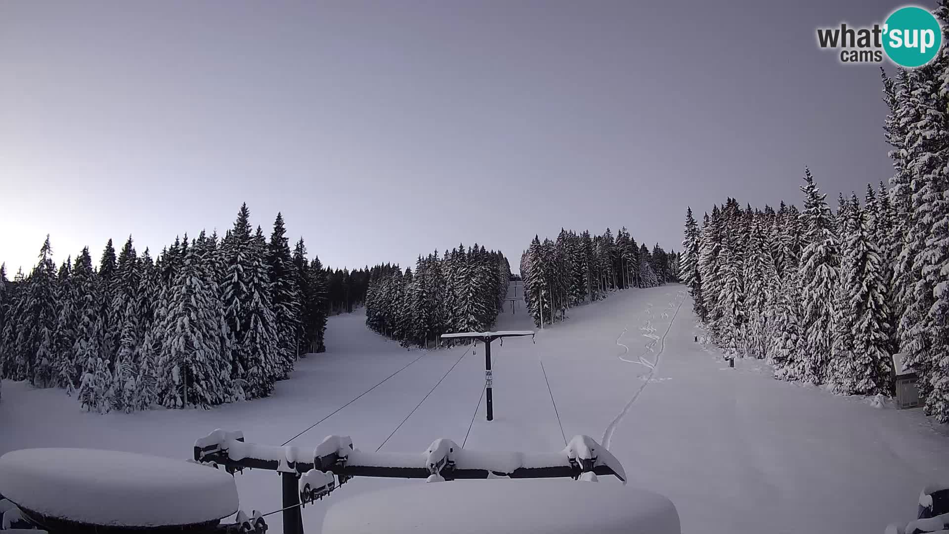 Comprensorio sciistico Rogla Webcam live Ostruščica piste 1 e 2