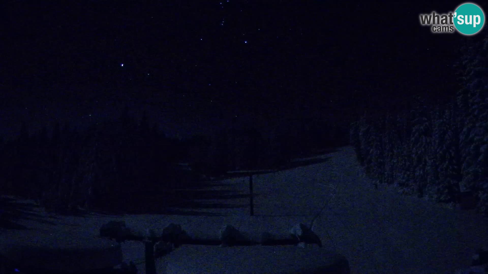 Skigebiet Rogla Webcam Ostruščica Piste 1 und 2