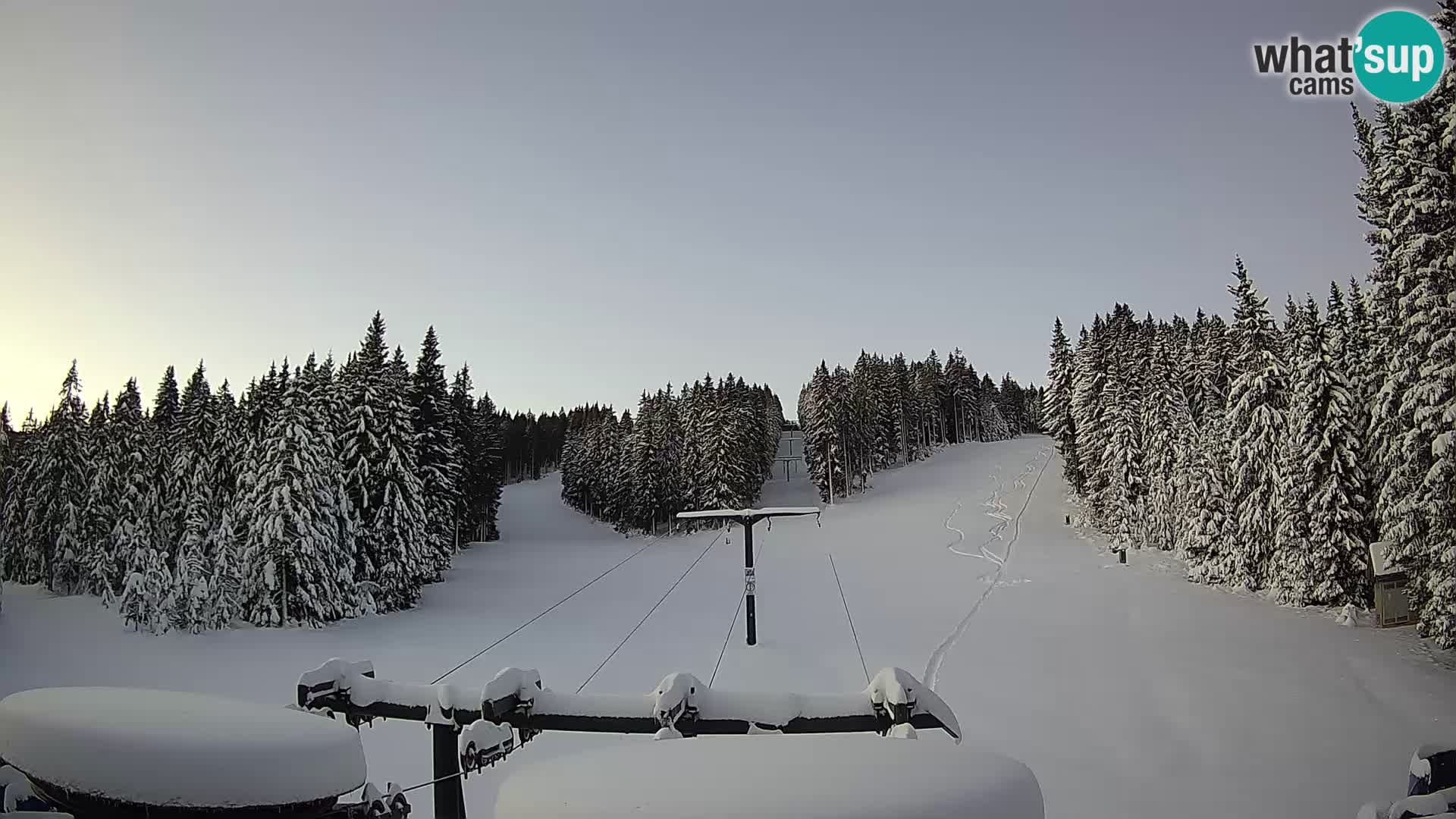 Estación de esquí Rogla Webcam Ostruščica pistas 1 y 2