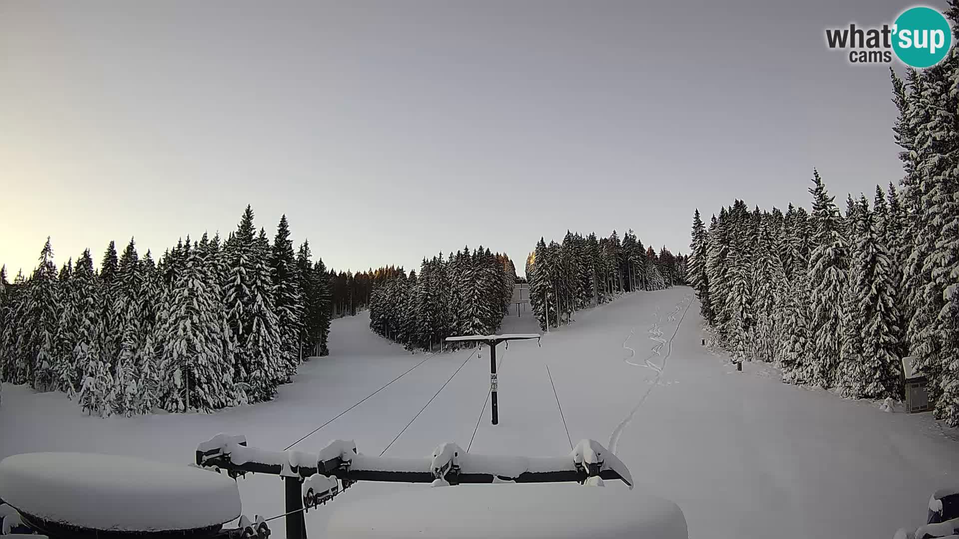 Comprensorio sciistico Rogla Webcam live Ostruščica piste 1 e 2