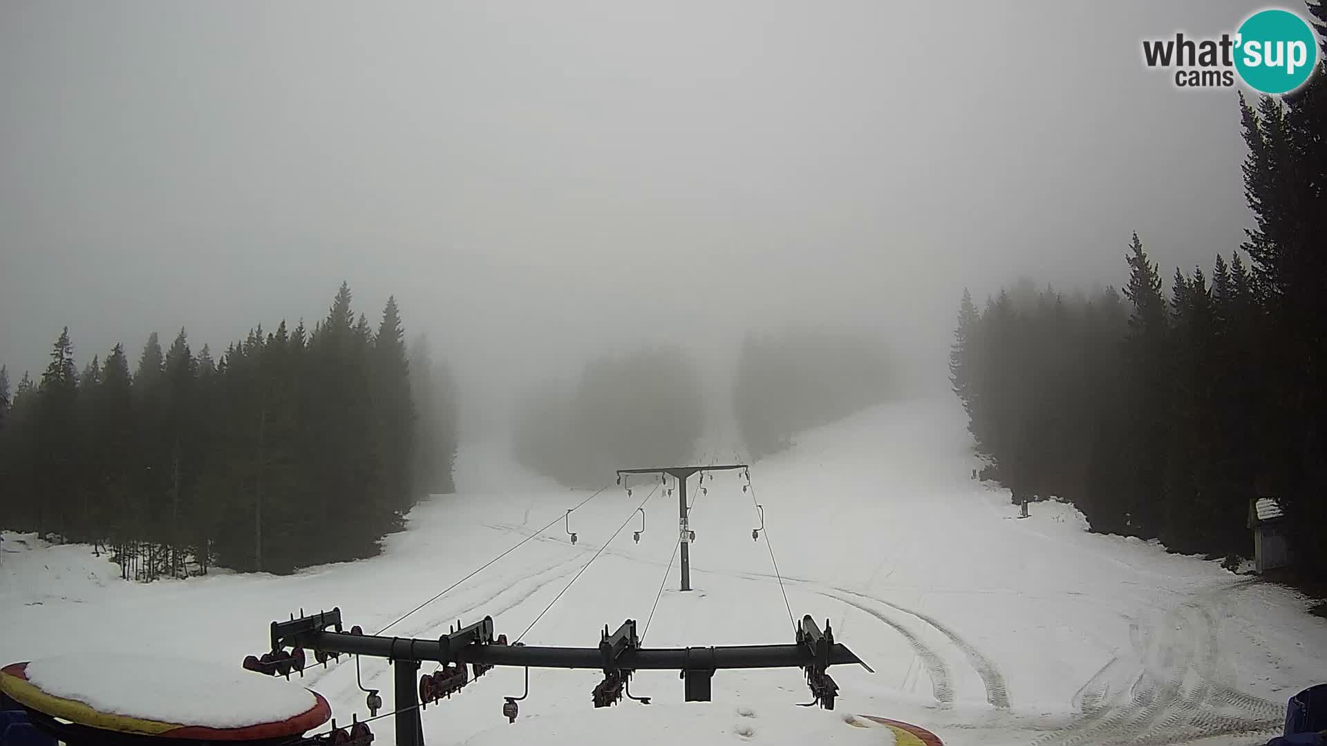 Estación de esquí Rogla Webcam Ostruščica pistas 1 y 2