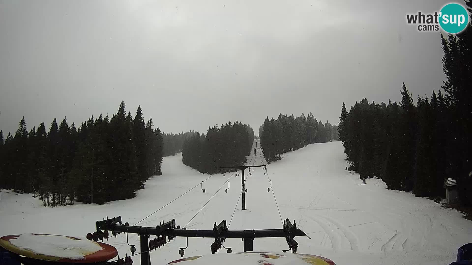 Estación de esquí Rogla Webcam Ostruščica pistas 1 y 2