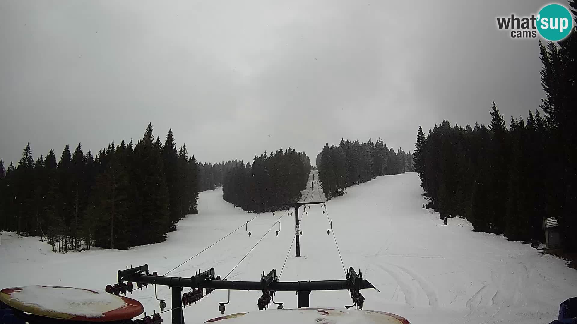 Comprensorio sciistico Rogla Webcam live Ostruščica piste 1 e 2