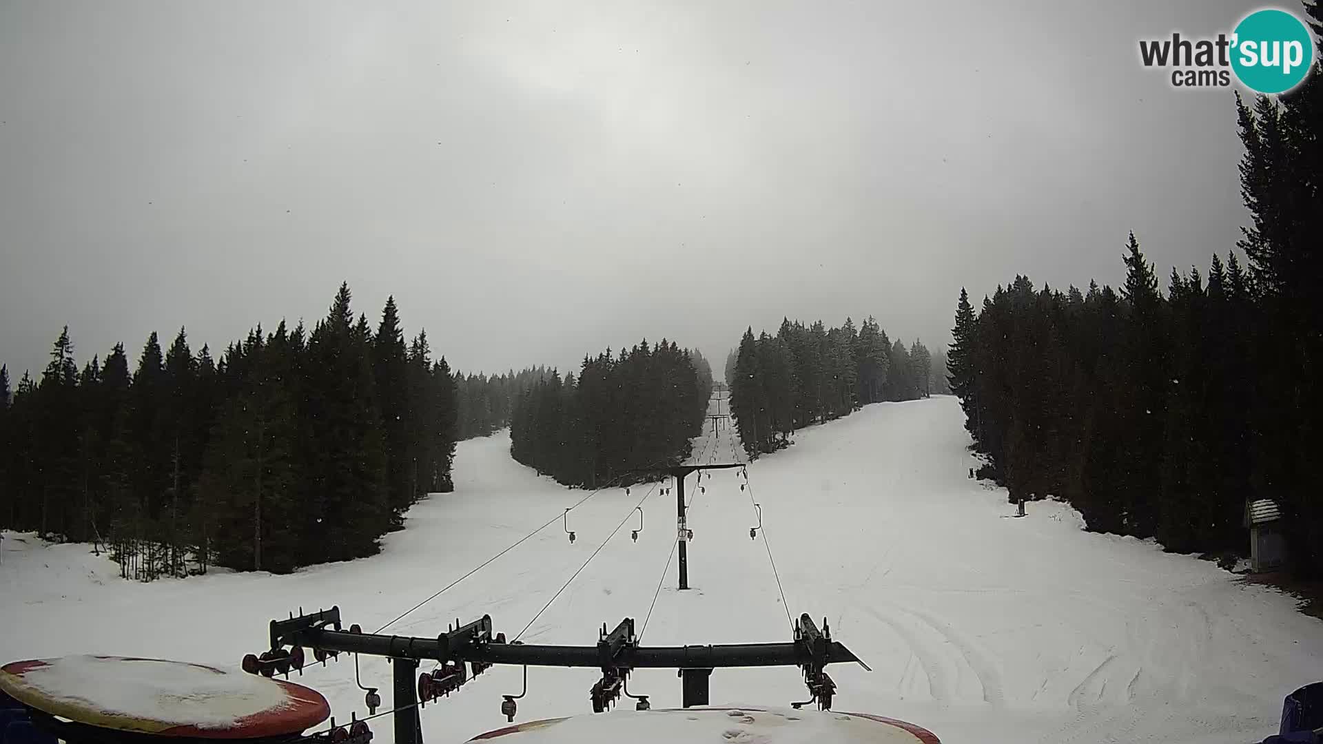 Comprensorio sciistico Rogla Webcam live Ostruščica piste 1 e 2