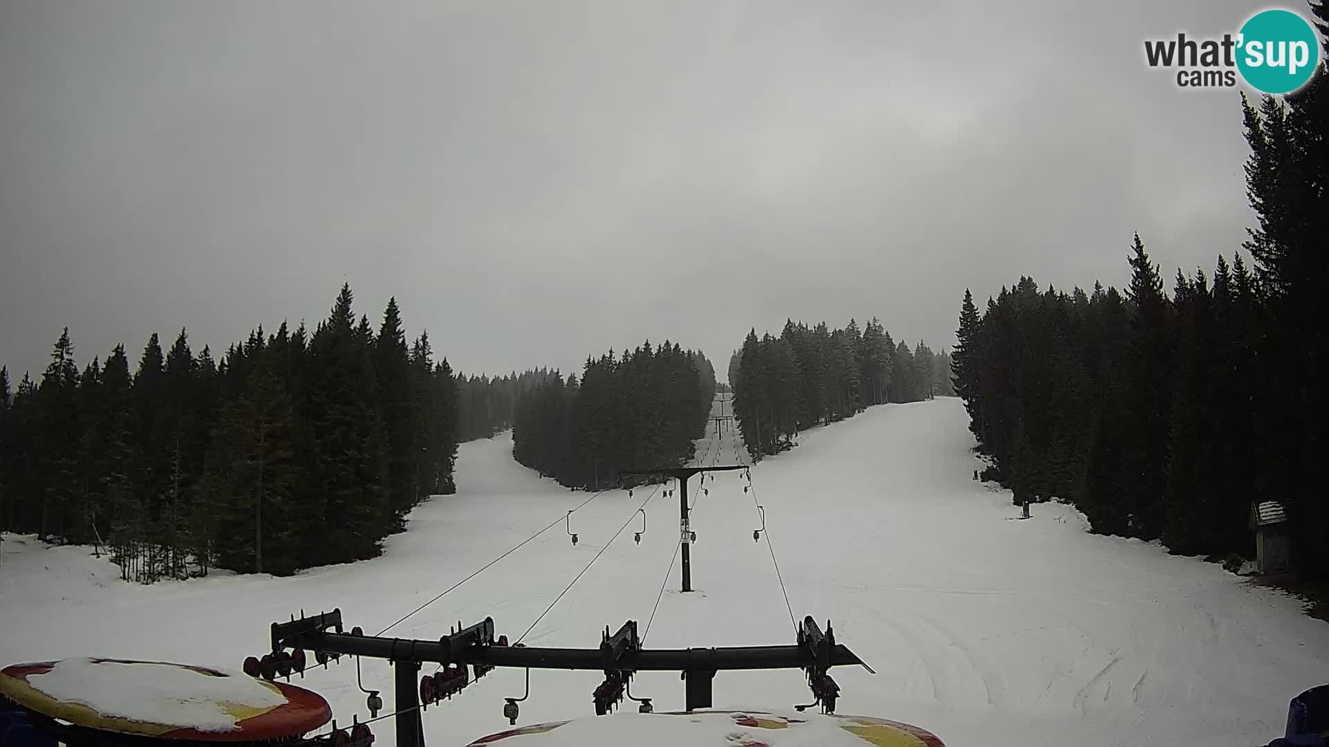 Comprensorio sciistico Rogla Webcam live Ostruščica piste 1 e 2