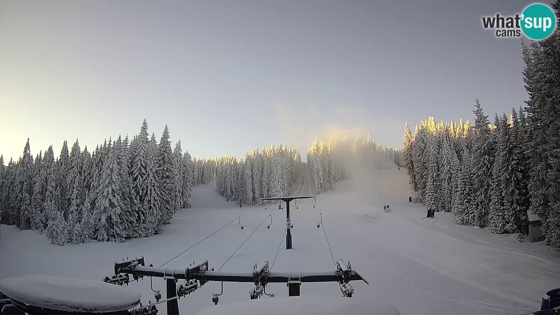 Estación de esquí Rogla Webcam Ostruščica pistas 1 y 2