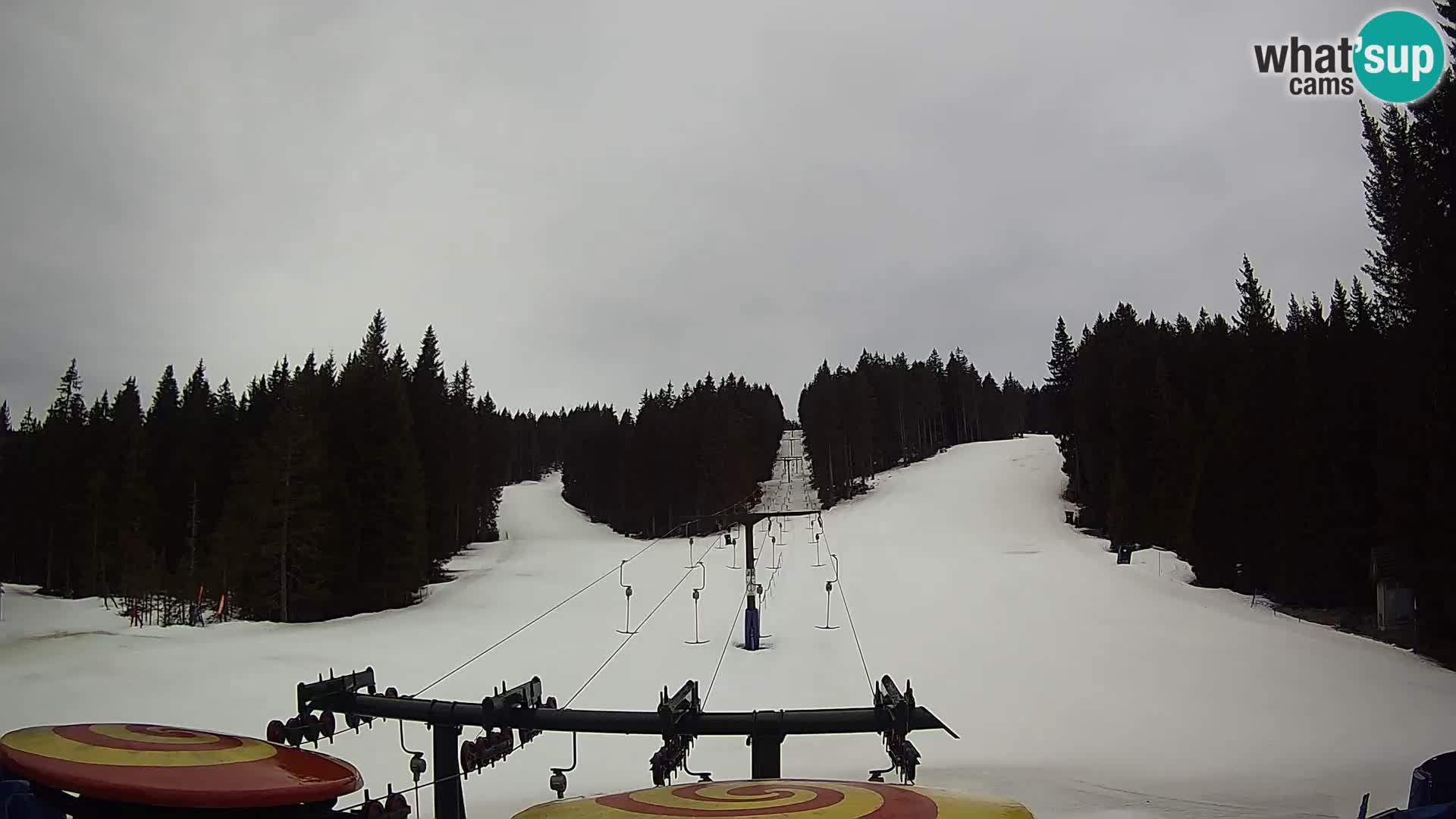 Skigebiet Rogla Webcam Ostruščica Piste 1 und 2