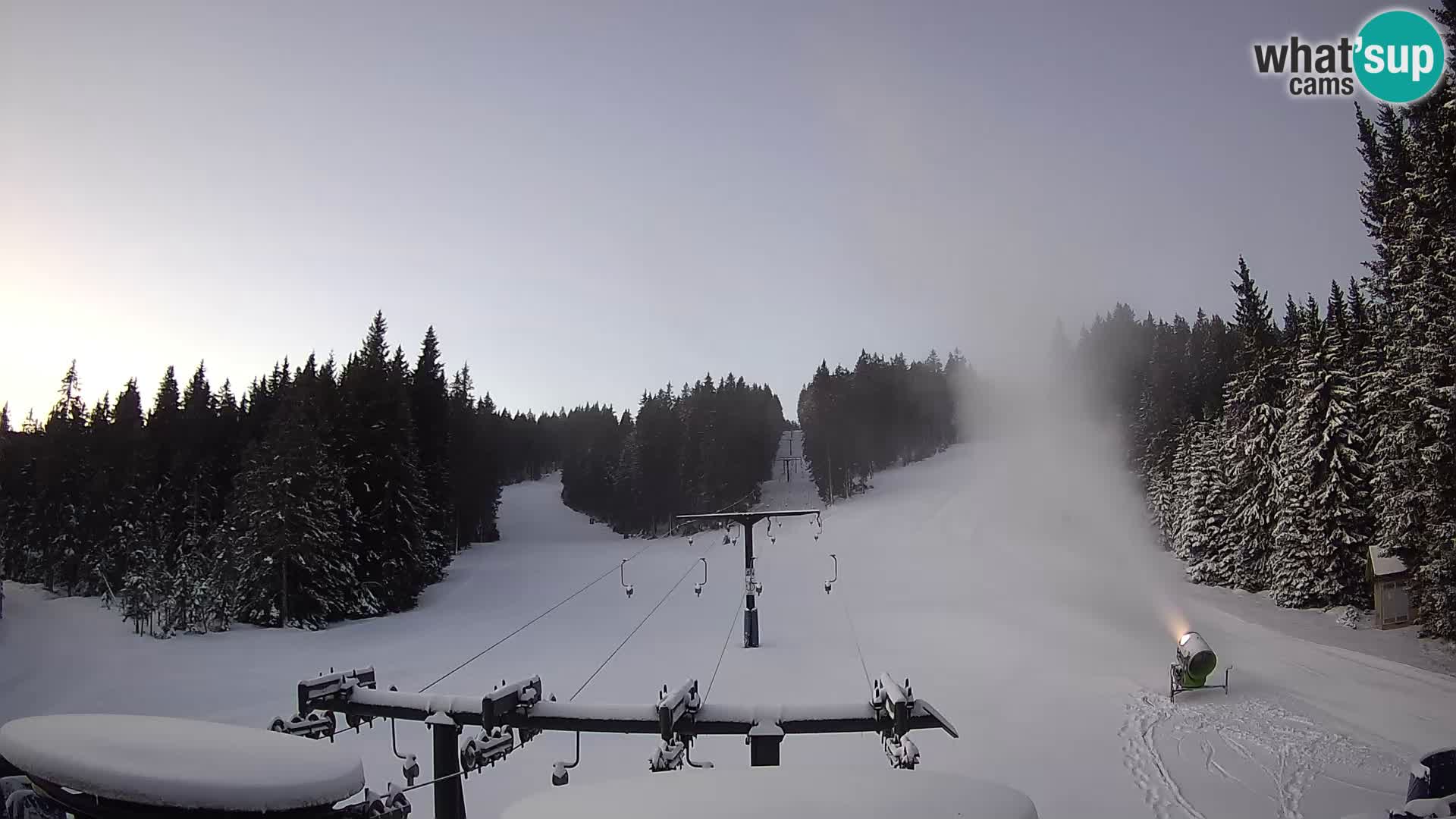 Webcam Live Rogla ski resort – Ostruščica