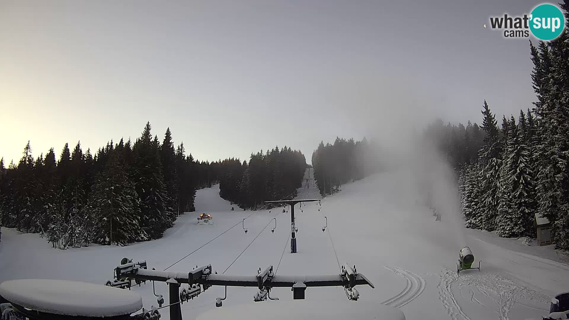 Skigebiet Rogla Webcam Ostruščica Piste 1 und 2