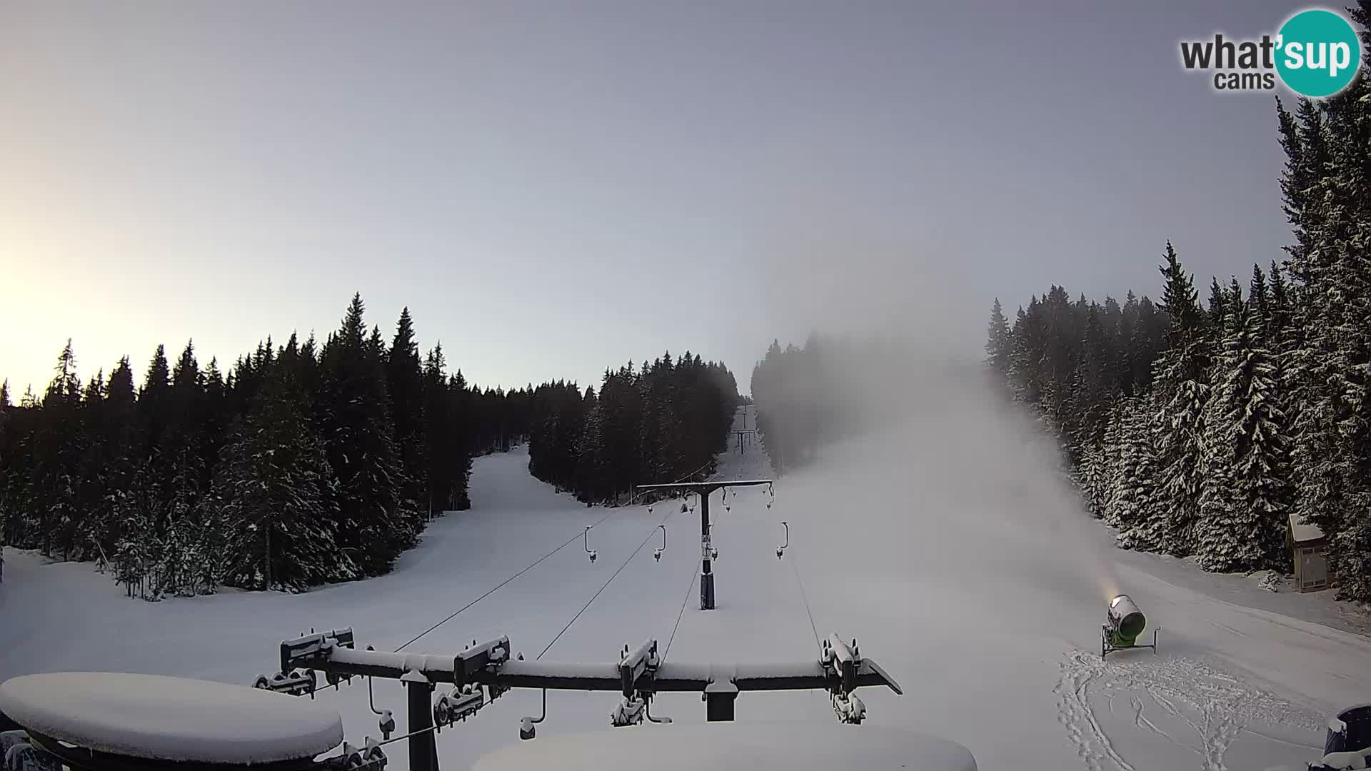 Comprensorio sciistico Rogla Webcam live Ostruščica piste 1 e 2