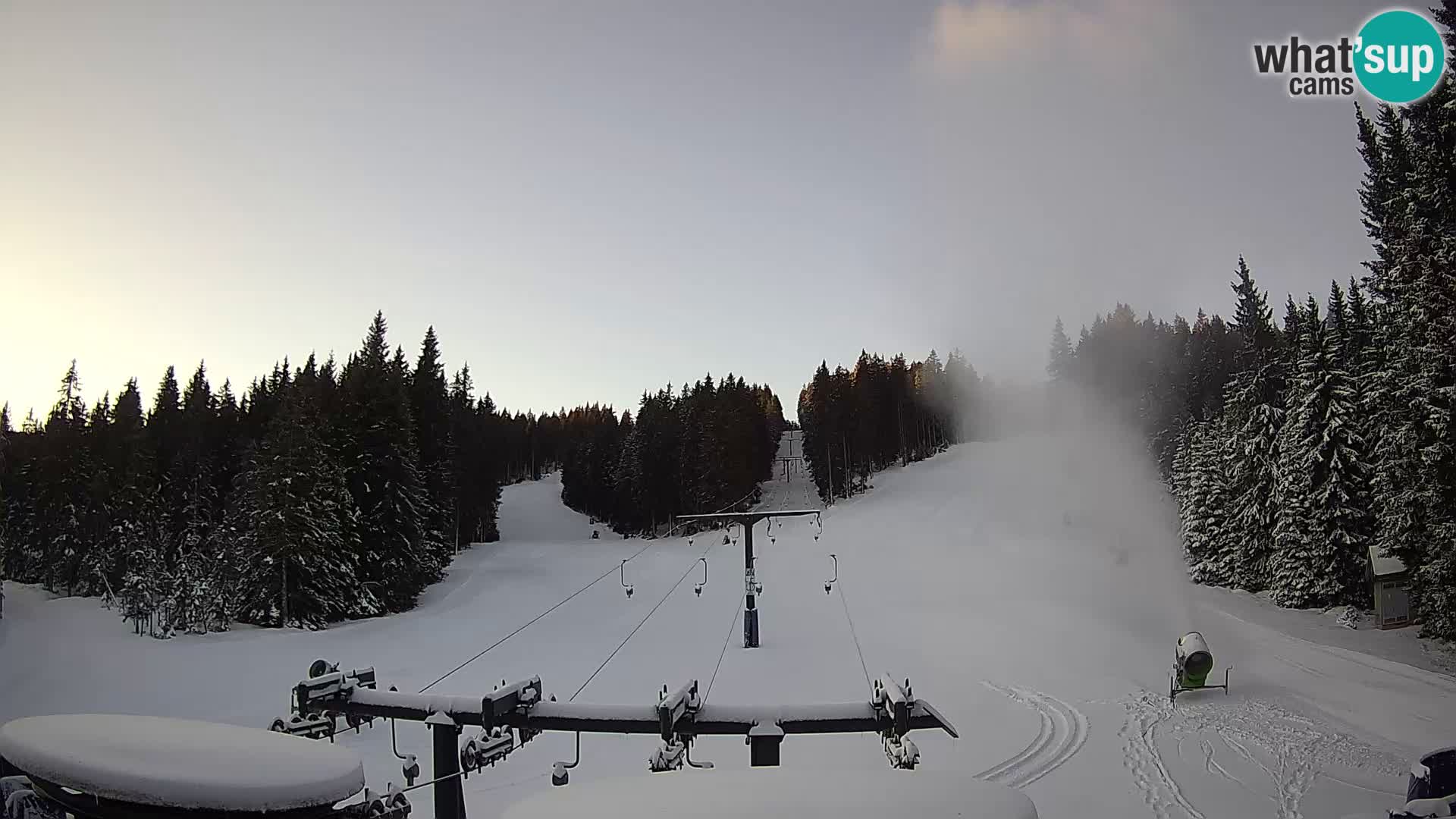 Comprensorio sciistico Rogla Webcam live Ostruščica piste 1 e 2