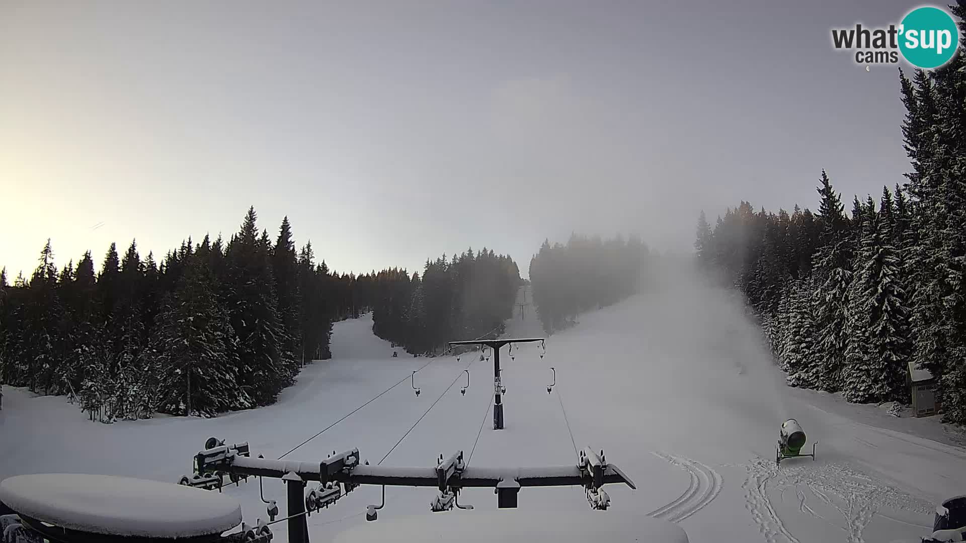 Comprensorio sciistico Rogla Webcam live Ostruščica piste 1 e 2