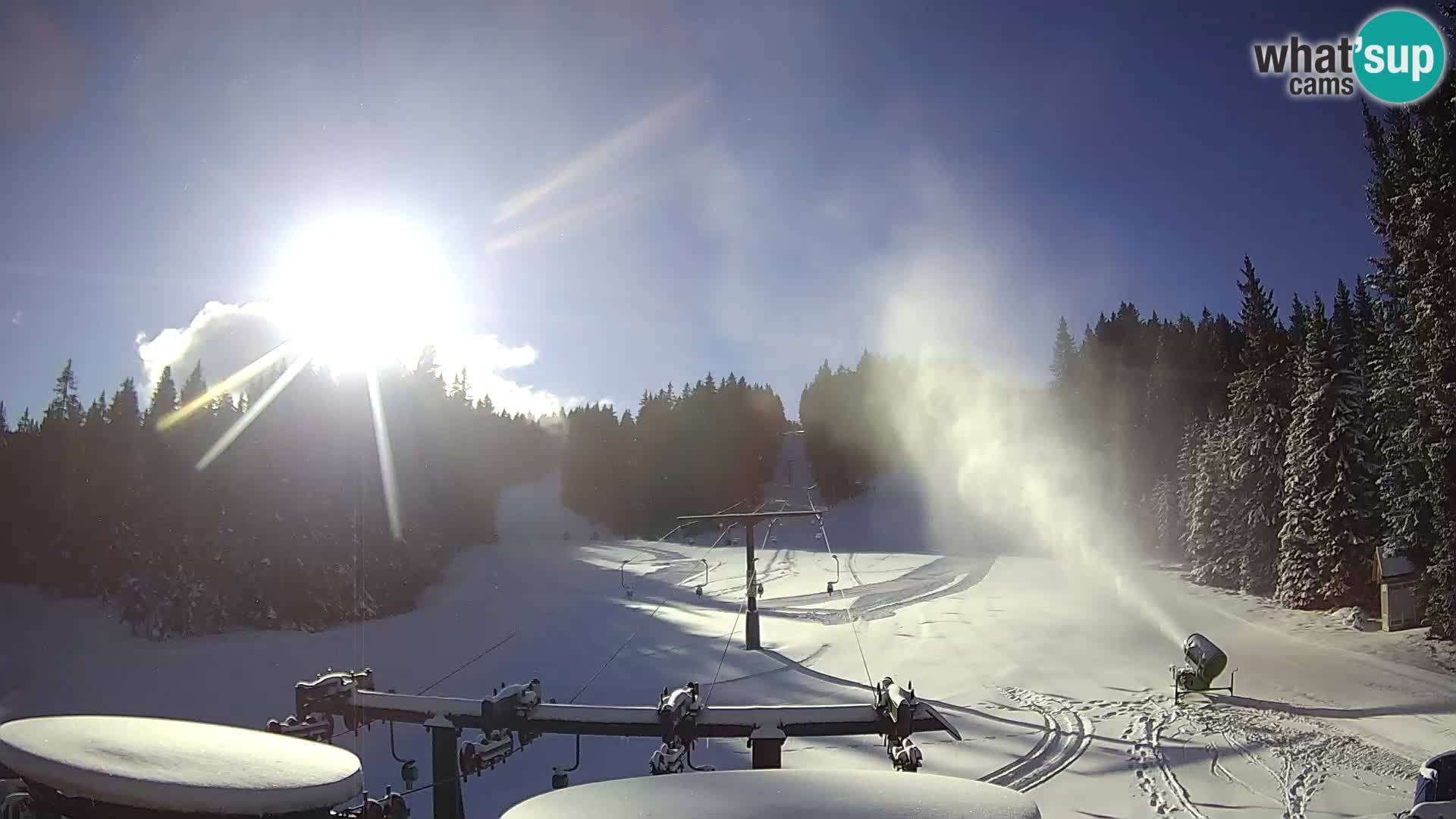 Station de ski Rogla Webcam Ostruščica pistes 1 et 2