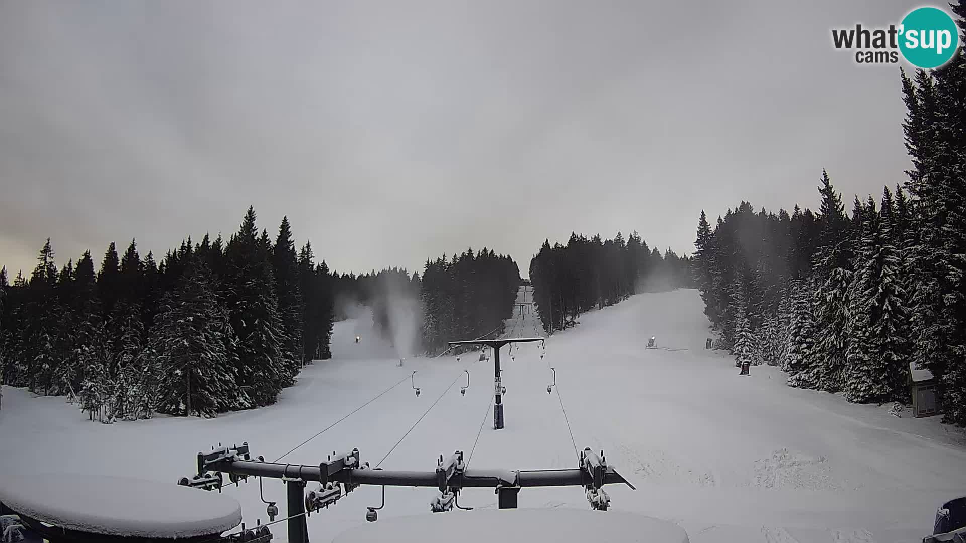 Comprensorio sciistico Rogla Webcam live Ostruščica piste 1 e 2