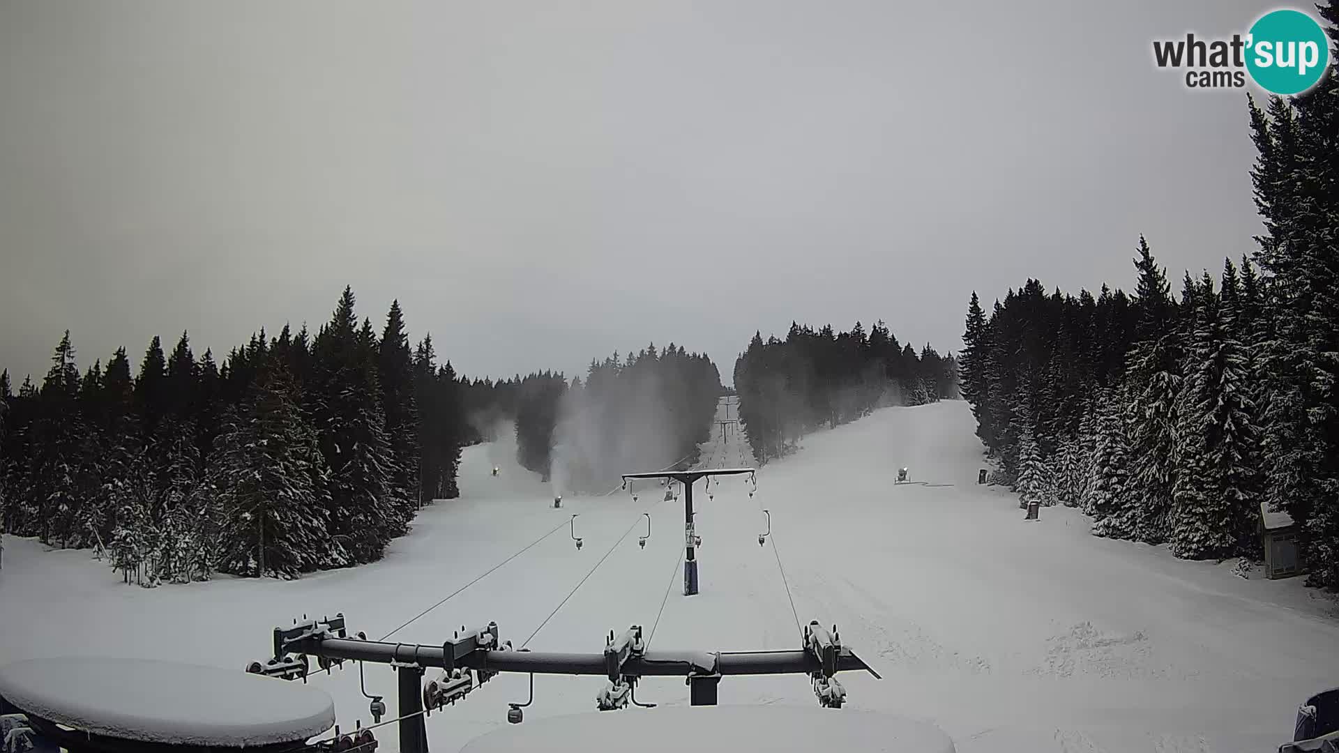 Webcam Live Rogla ski resort – Ostruščica