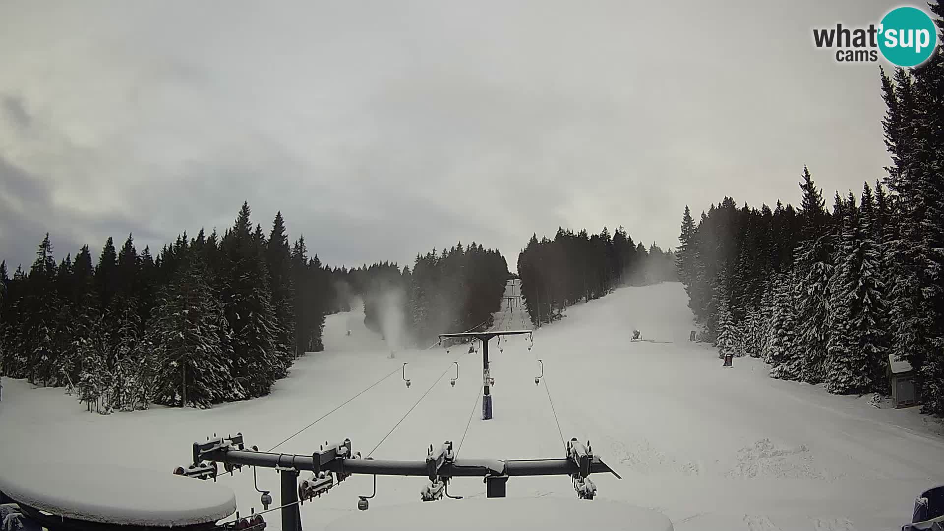 Webcam Live Rogla ski resort – Ostruščica