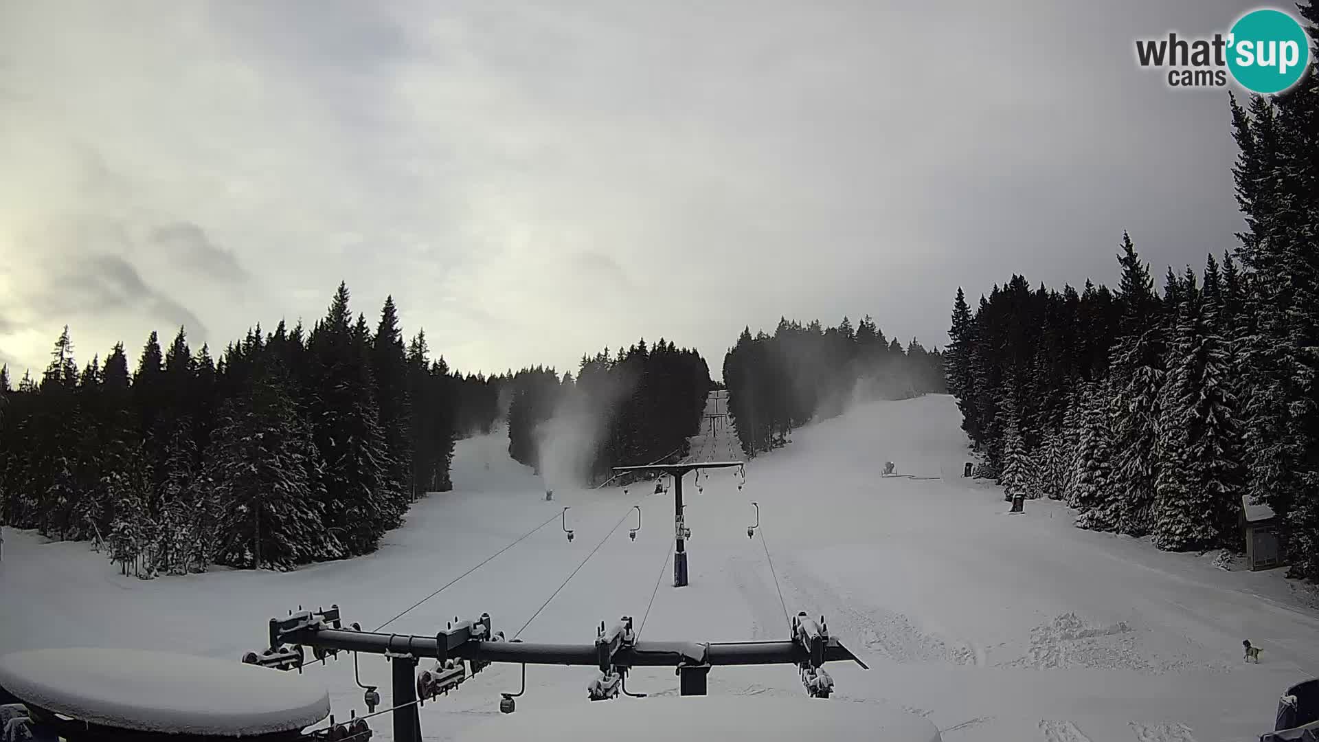 Skigebiet Rogla Webcam Ostruščica Piste 1 und 2