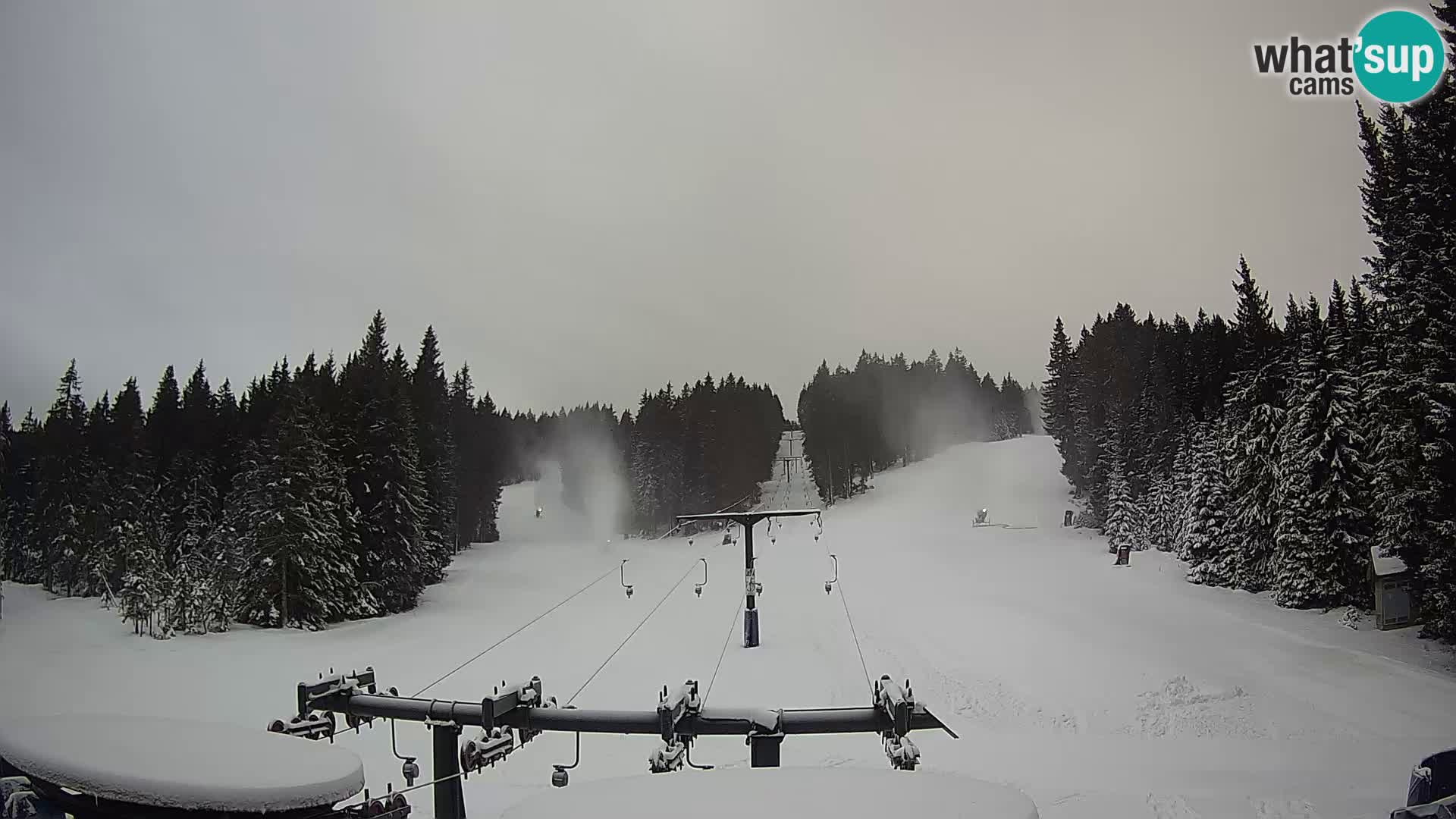 Skigebiet Rogla Webcam Ostruščica Piste 1 und 2