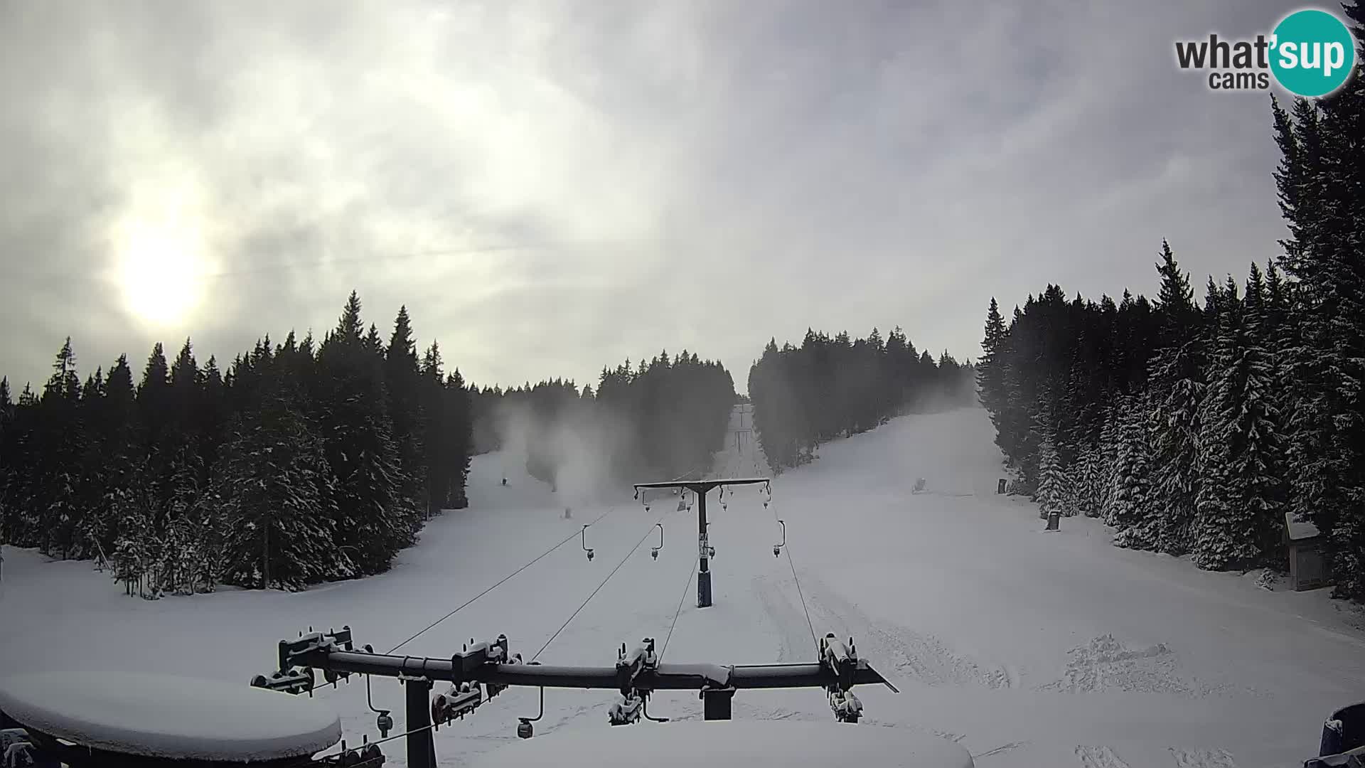 Comprensorio sciistico Rogla Webcam live Ostruščica piste 1 e 2