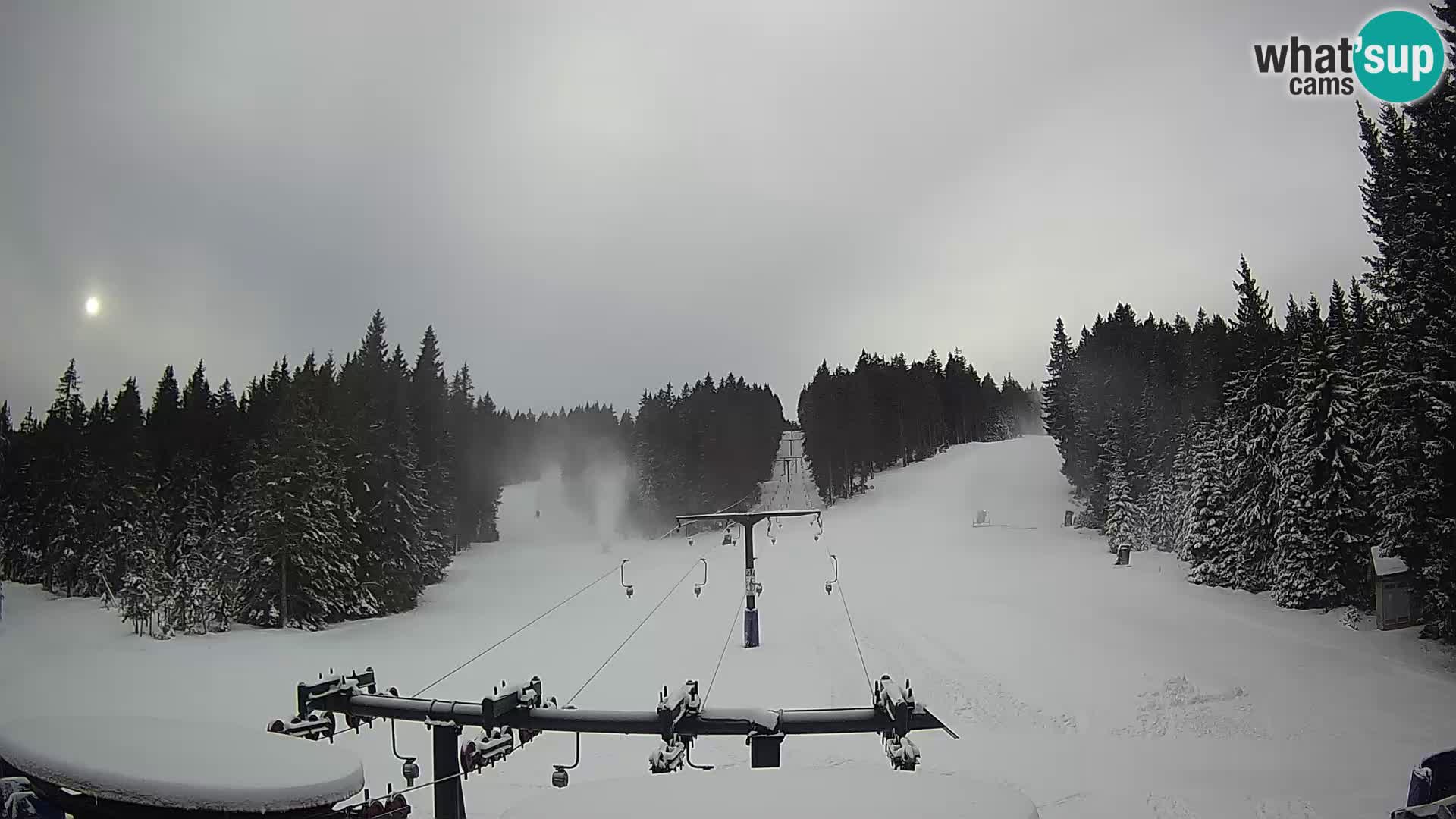 Estación de esquí Rogla Webcam Ostruščica pistas 1 y 2