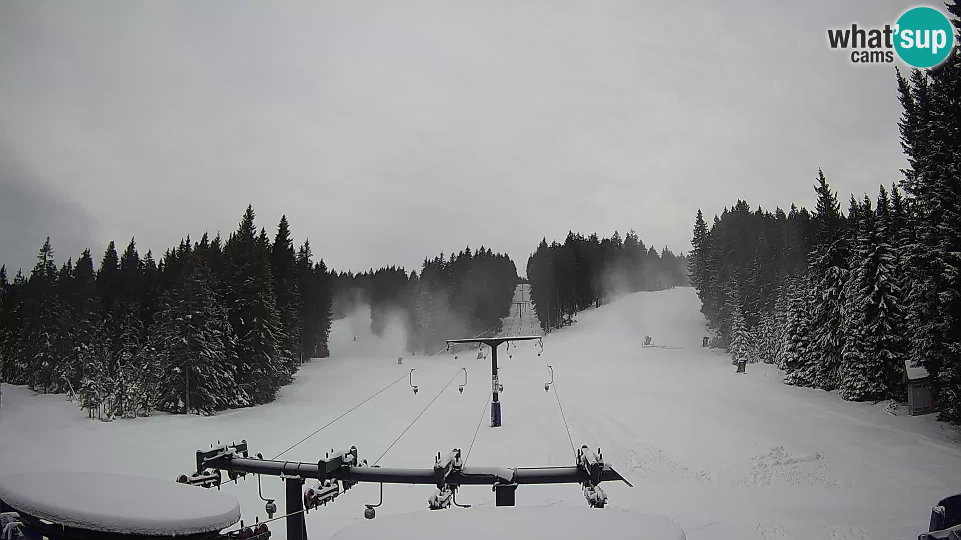 Comprensorio sciistico Rogla Webcam live Ostruščica piste 1 e 2