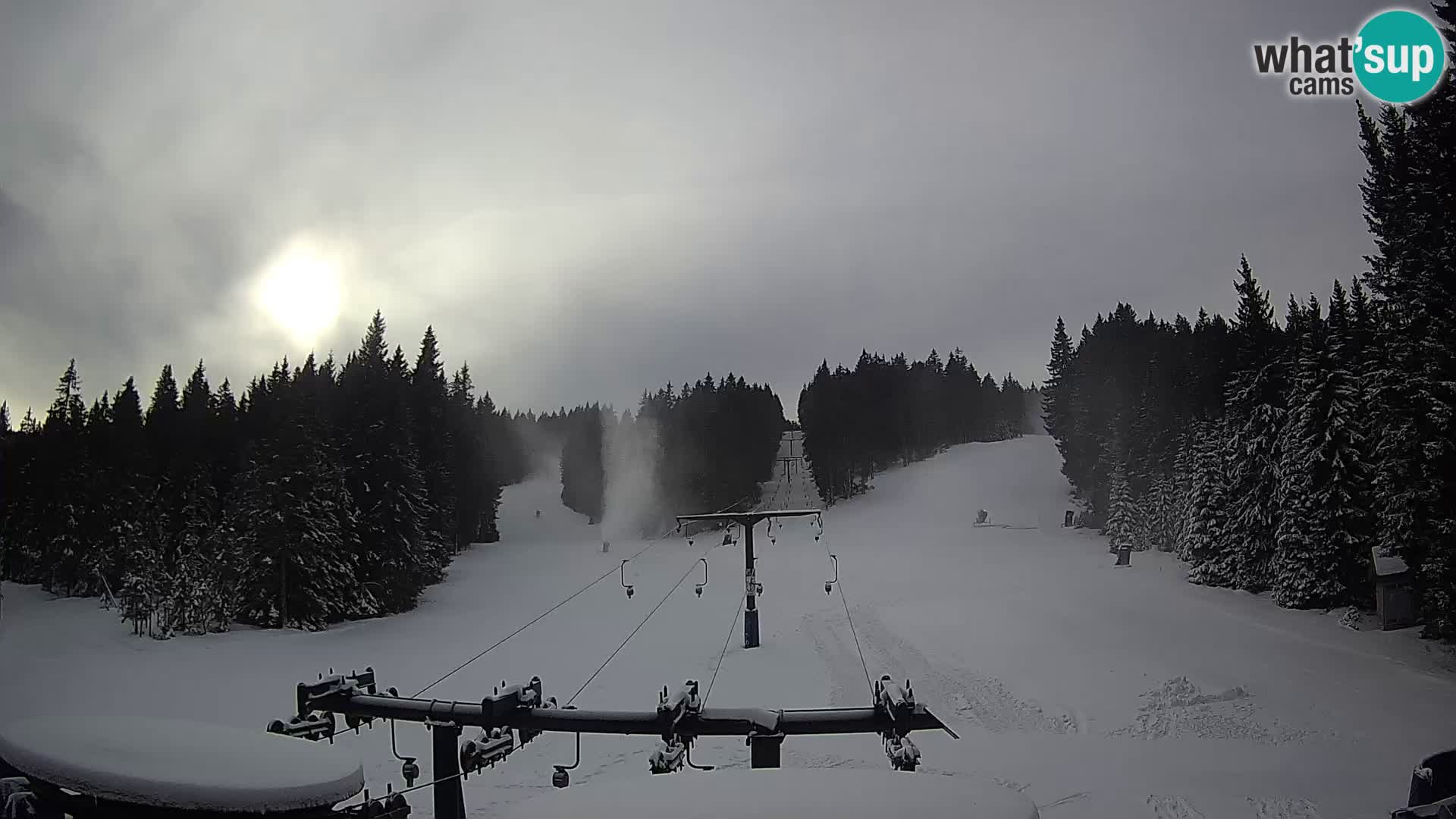 Estación de esquí Rogla Webcam Ostruščica pistas 1 y 2