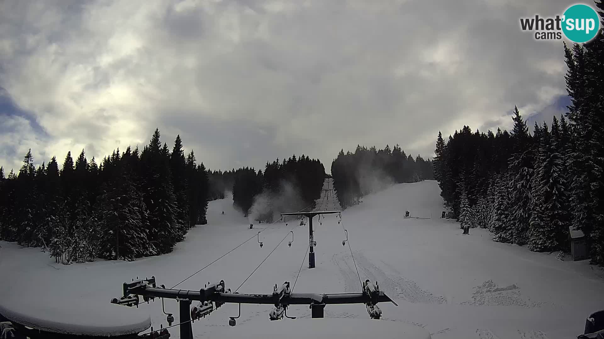 Skigebiet Rogla Webcam Ostruščica Piste 1 und 2