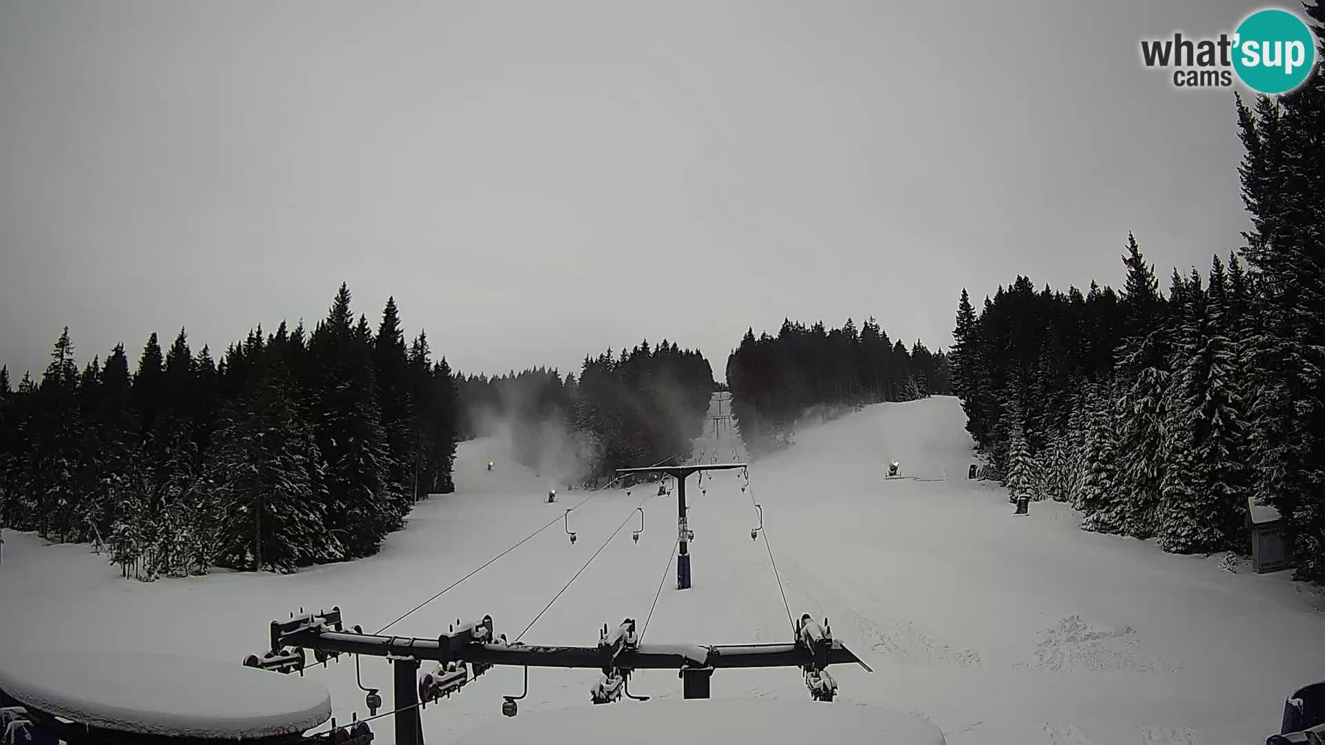 Estación de esquí Rogla Webcam Ostruščica pistas 1 y 2