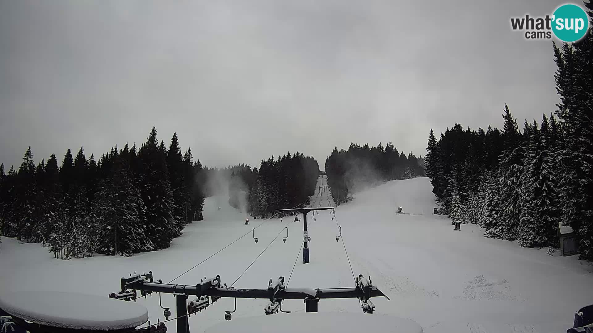 Webcam Live Rogla ski resort – Ostruščica