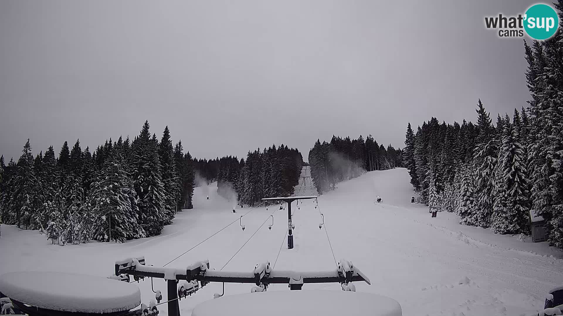 Station de ski Rogla Webcam Ostruščica pistes 1 et 2