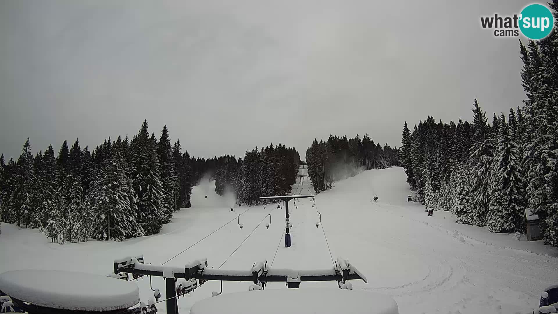 Comprensorio sciistico Rogla Webcam live Ostruščica piste 1 e 2