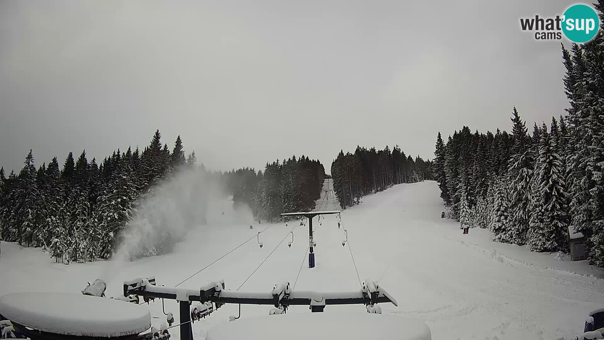 Station de ski Rogla Webcam Ostruščica pistes 1 et 2