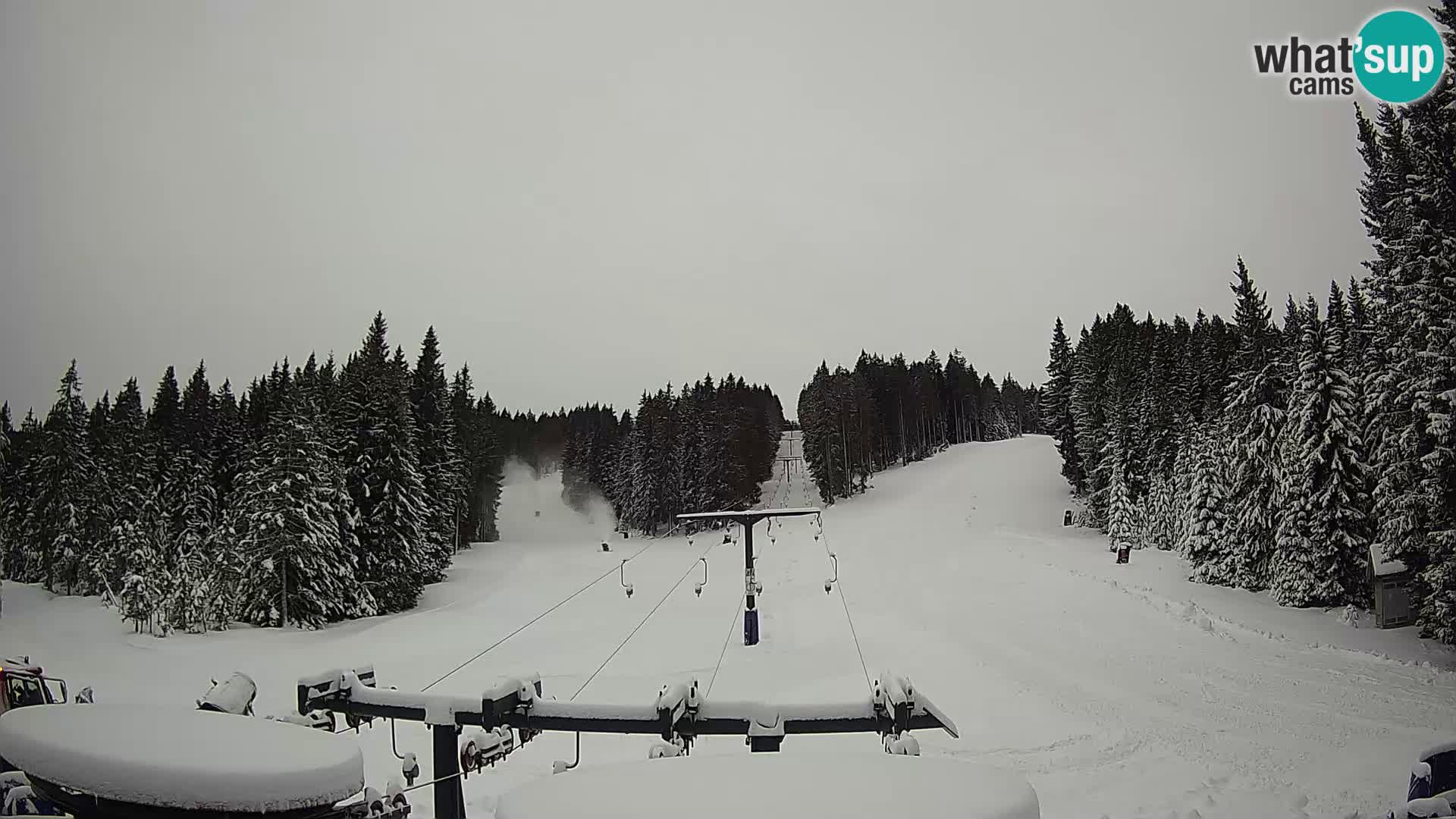 Estación de esquí Rogla Webcam Ostruščica pistas 1 y 2