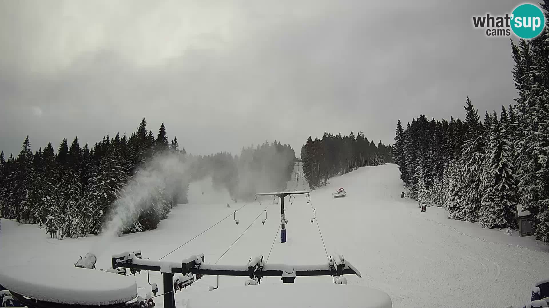 Webcam Live Rogla ski resort – Ostruščica