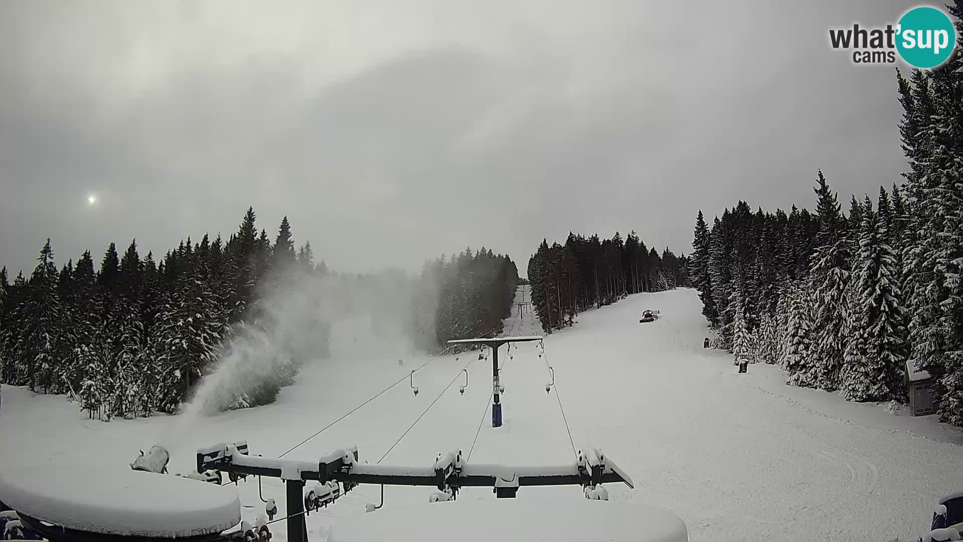 Comprensorio sciistico Rogla Webcam live Ostruščica piste 1 e 2