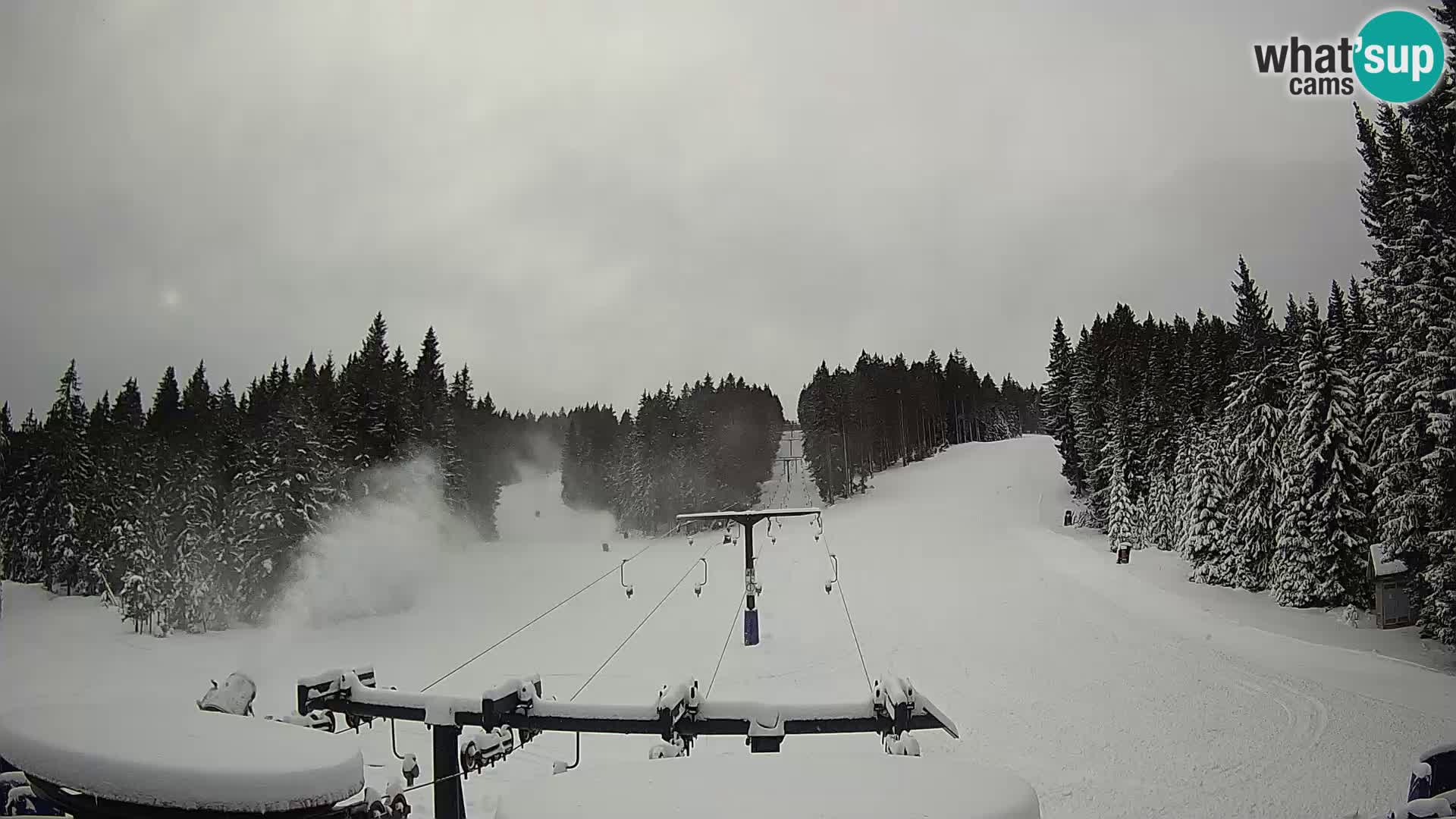 Estación de esquí Rogla Webcam Ostruščica pistas 1 y 2