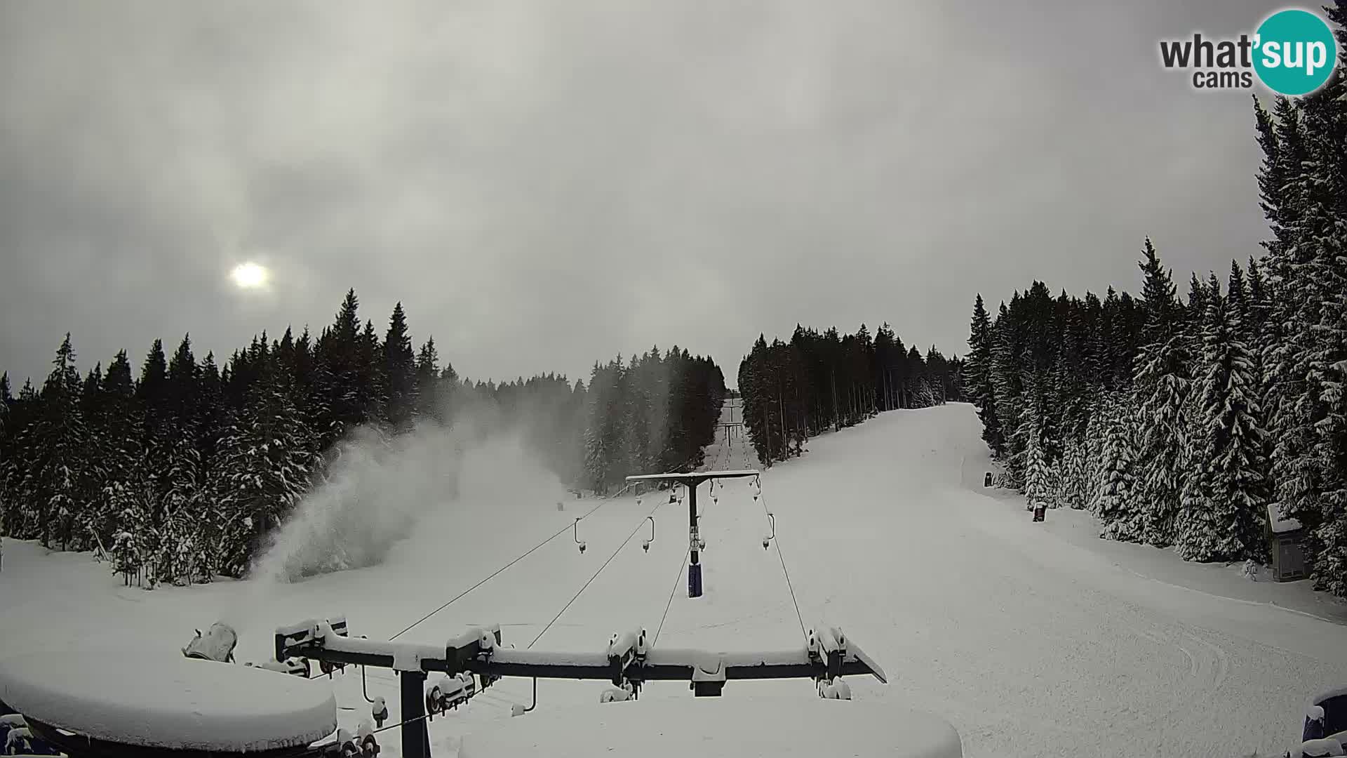 Estación de esquí Rogla Webcam Ostruščica pistas 1 y 2