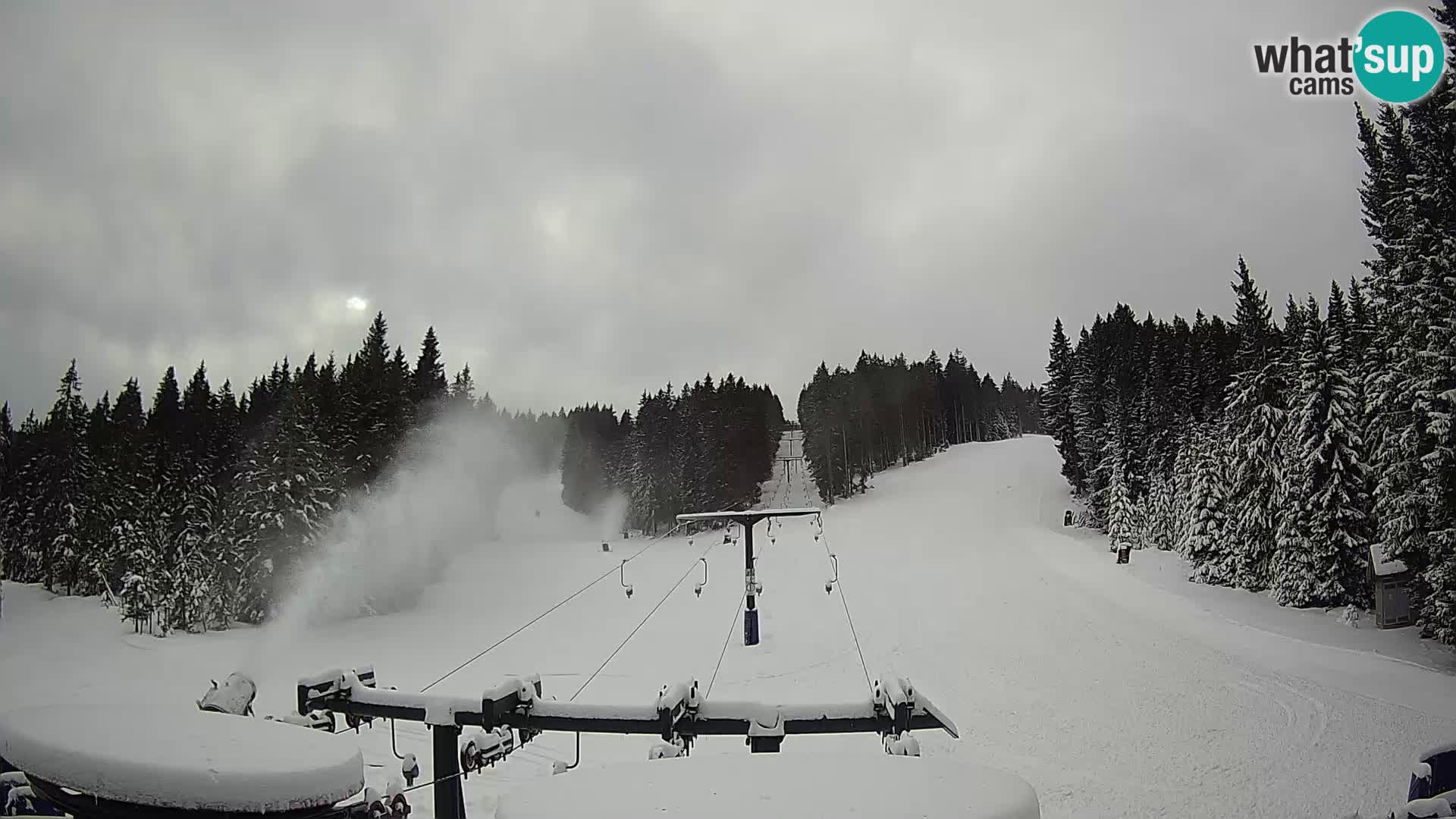 Station de ski Rogla Webcam Ostruščica pistes 1 et 2