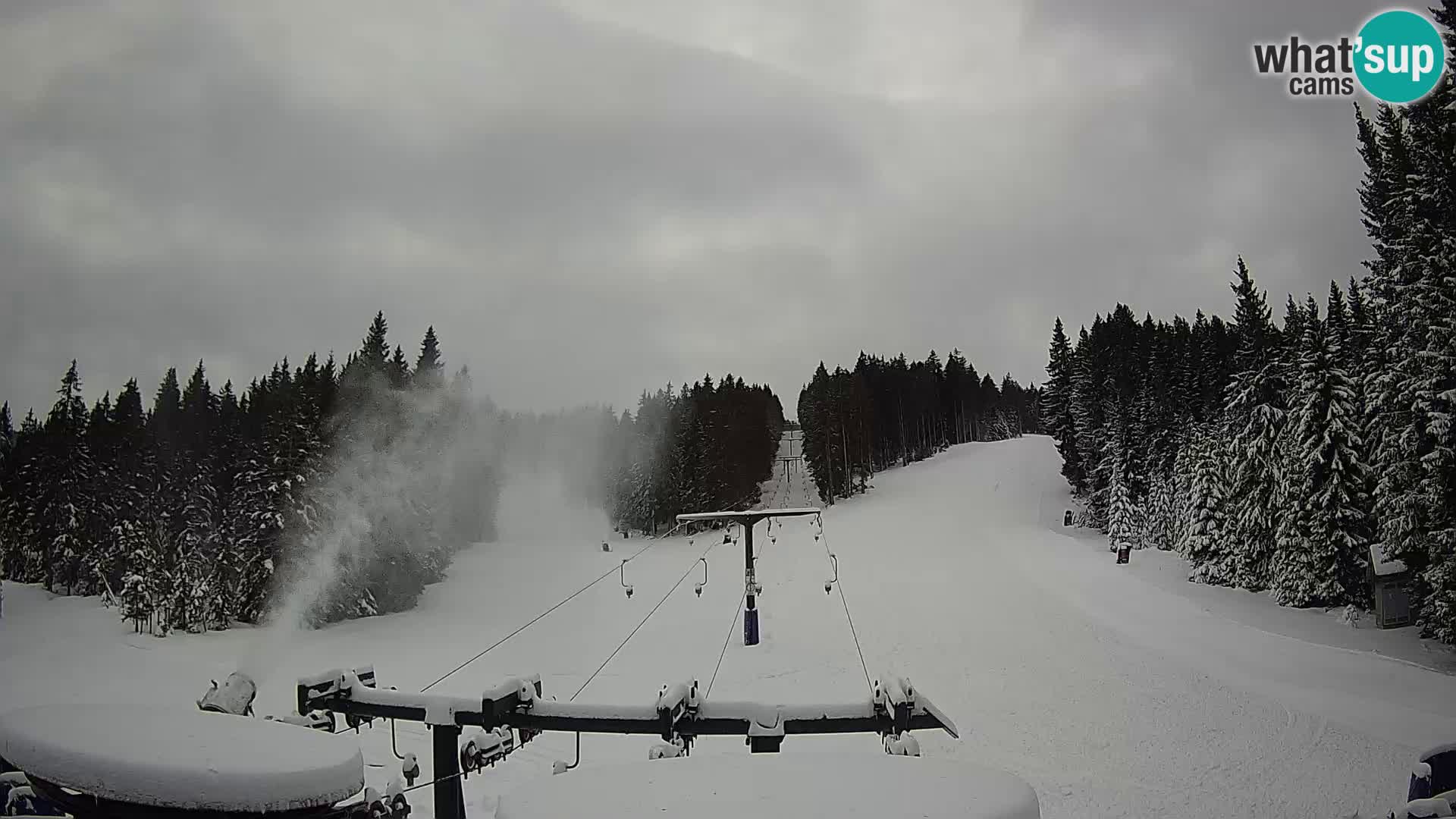 Webcam Live Rogla ski resort – Ostruščica