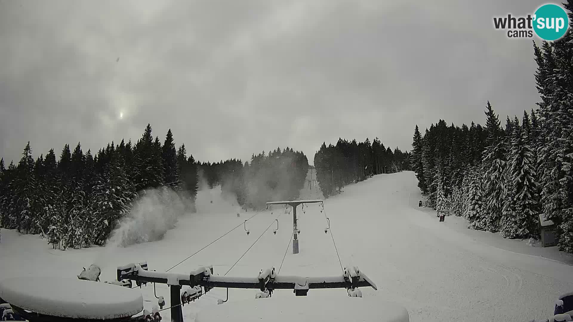 Station de ski Rogla Webcam Ostruščica pistes 1 et 2