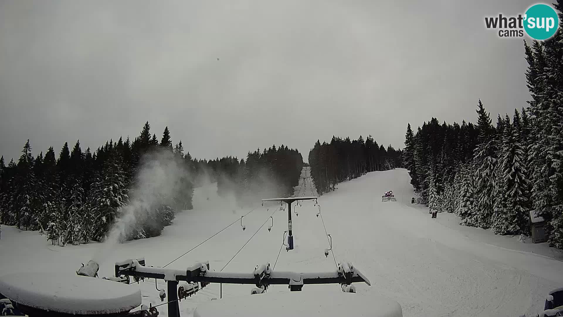 Webcam Live Rogla ski resort – Ostruščica