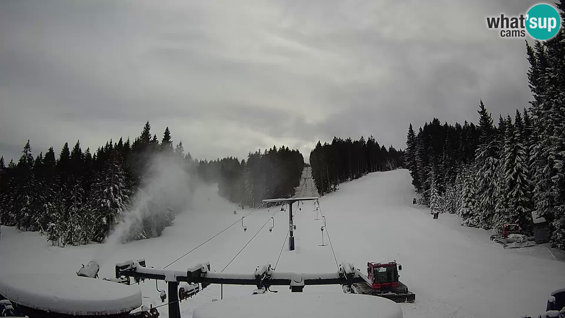 Station de ski Rogla Webcam Ostruščica pistes 1 et 2