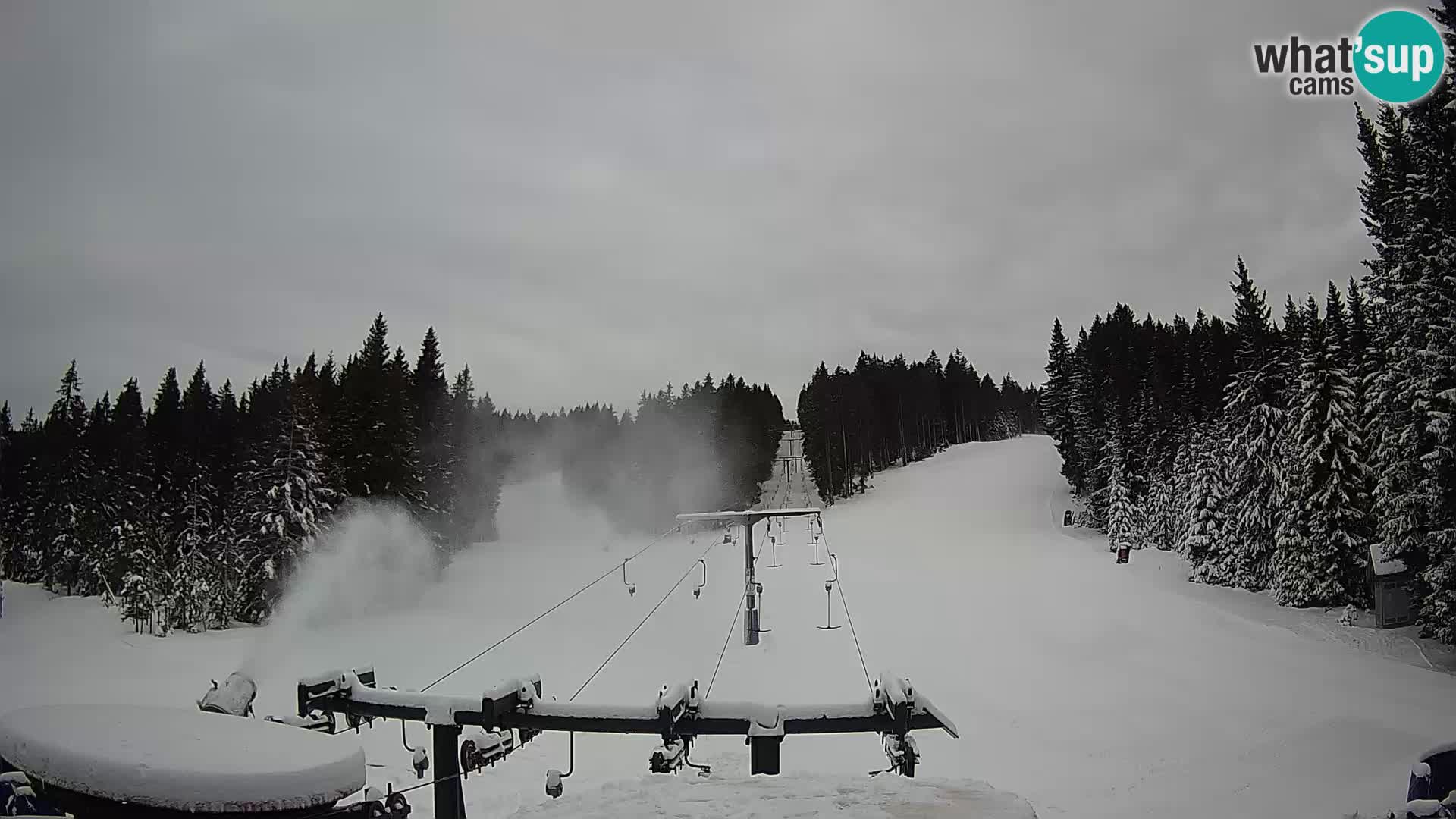 Skigebiet Rogla Webcam Ostruščica Piste 1 und 2