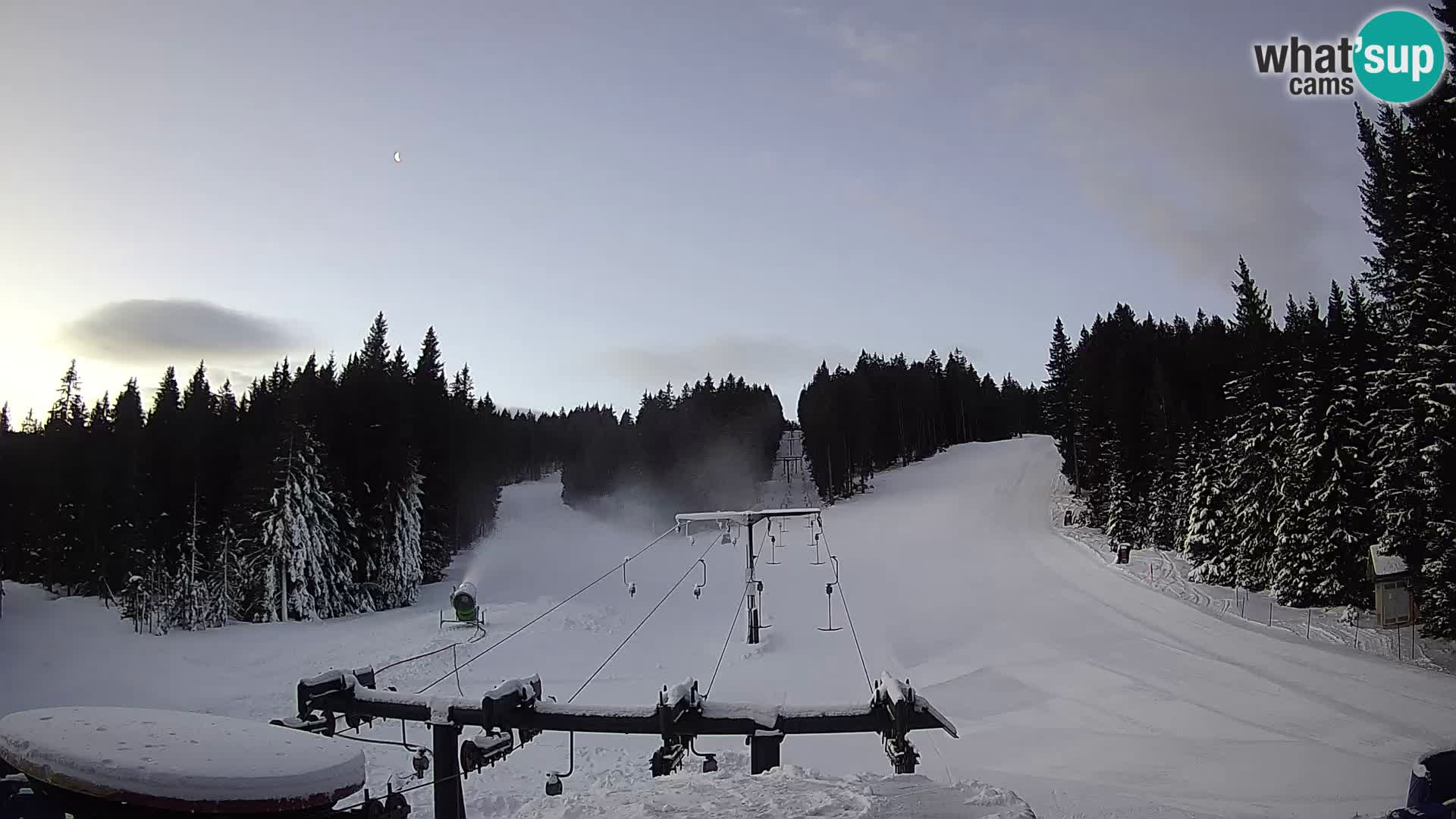 Comprensorio sciistico Rogla Webcam live Ostruščica piste 1 e 2