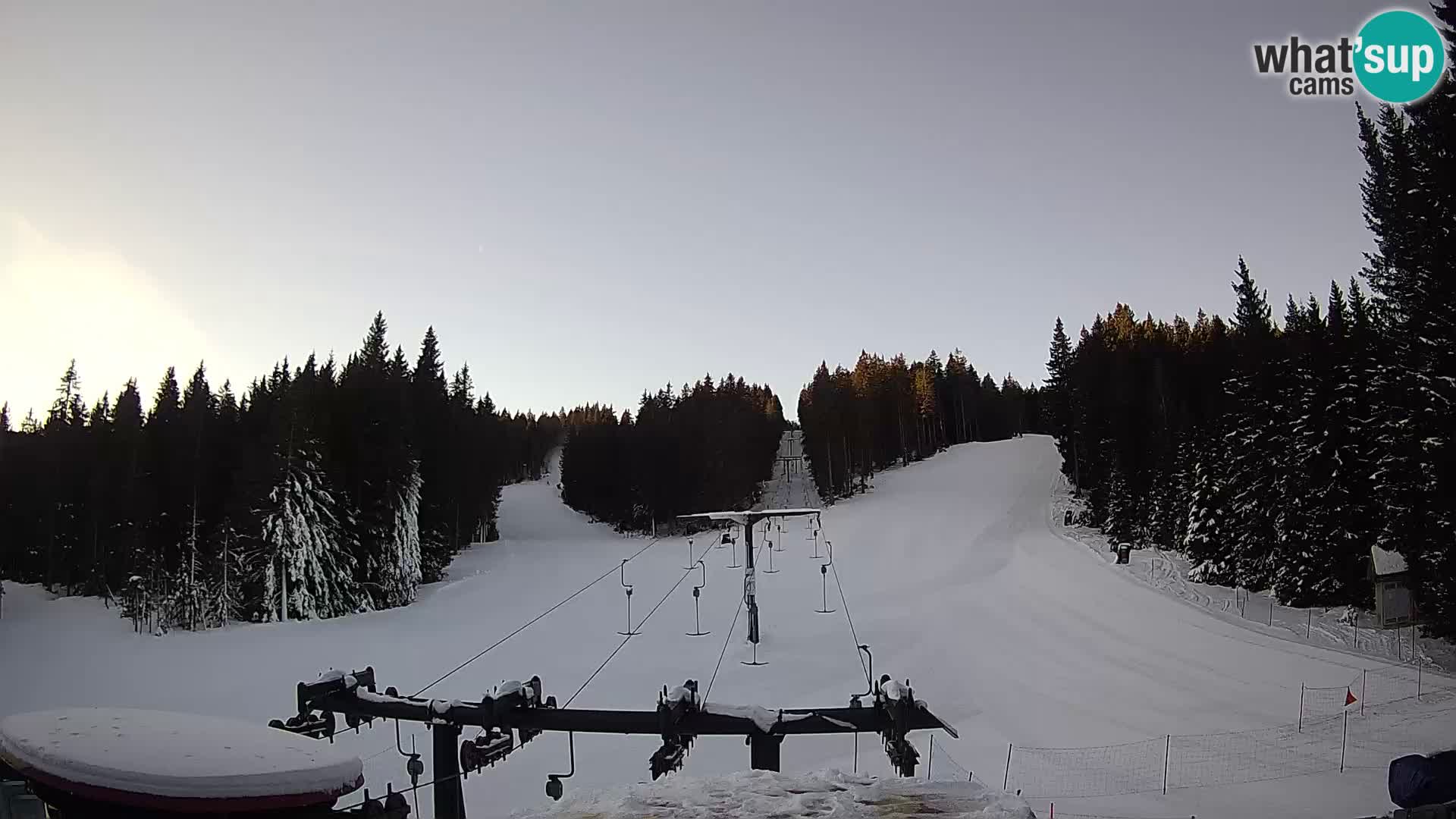 Skigebiet Rogla Webcam Ostruščica Piste 1 und 2