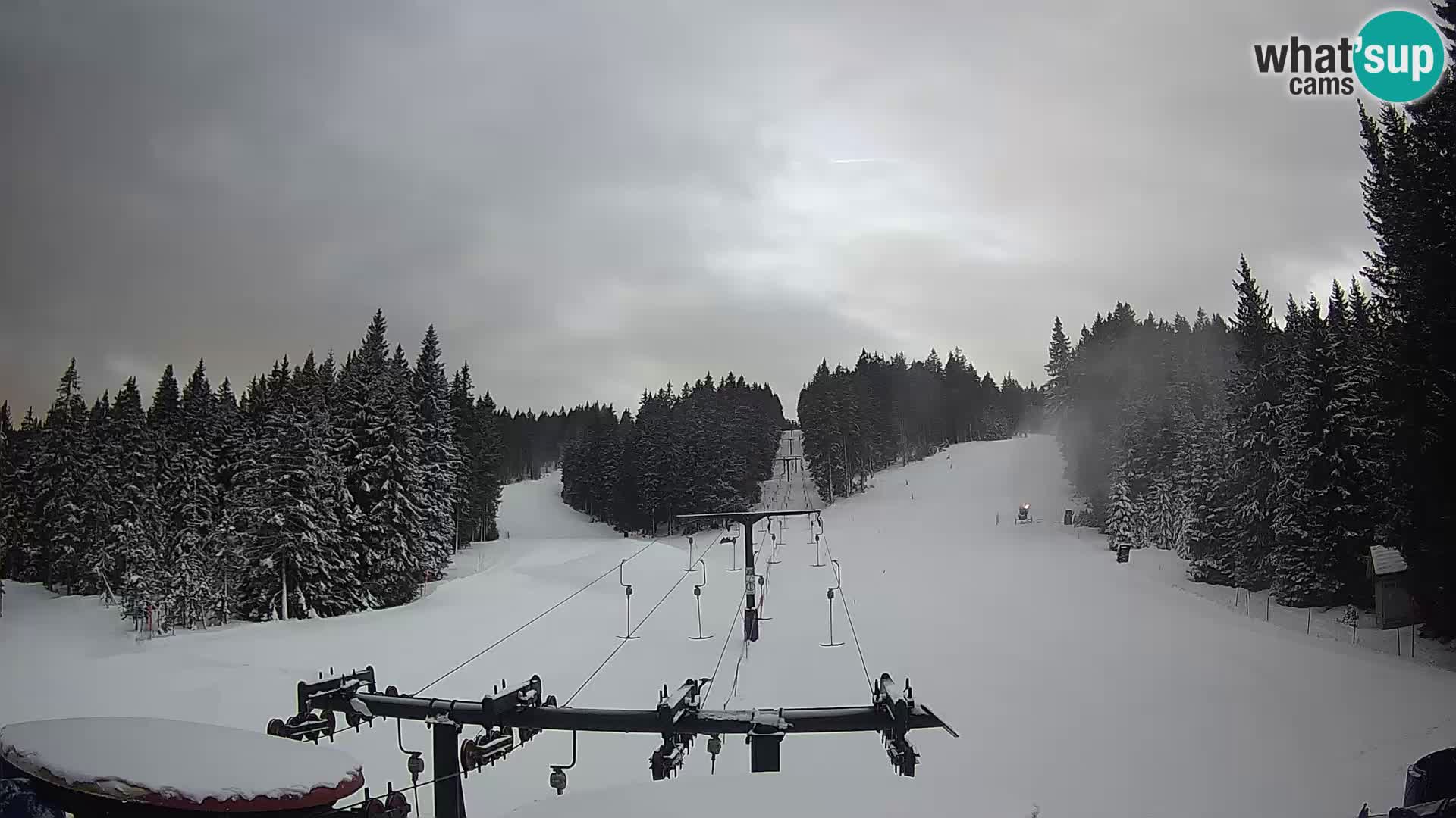 Webcam Live Rogla ski resort – Ostruščica