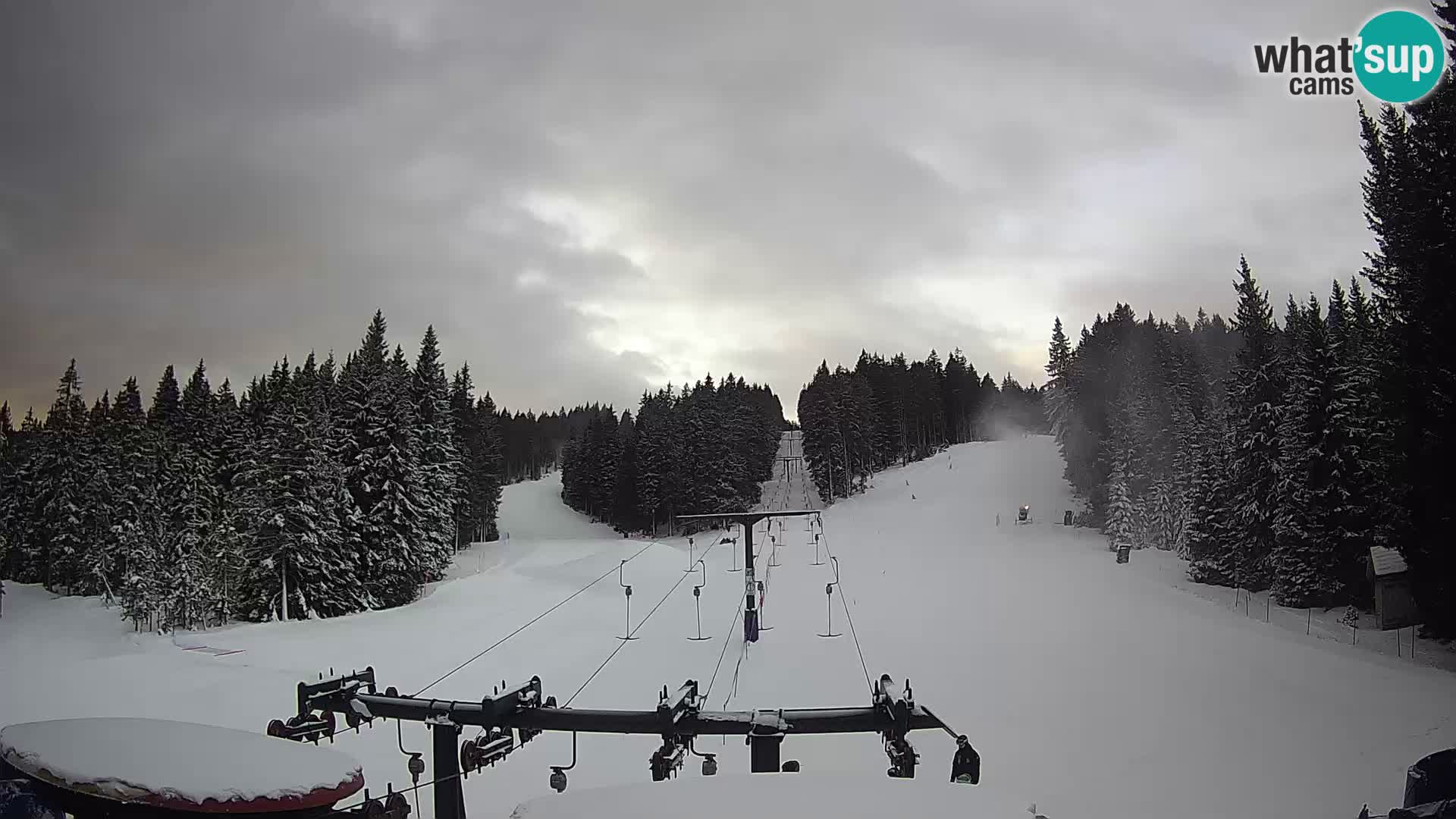 Webcam Live Rogla ski resort – Ostruščica